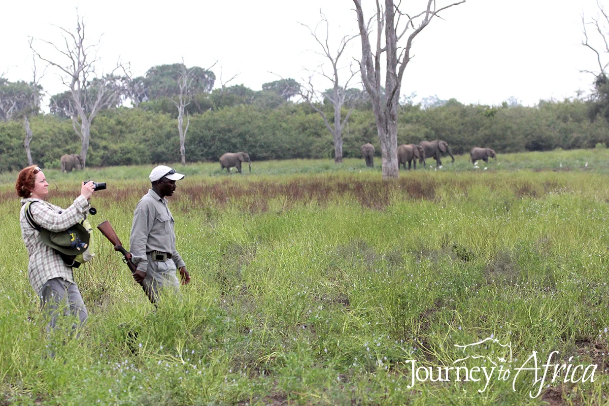 sand_river_walking_safari.jpg