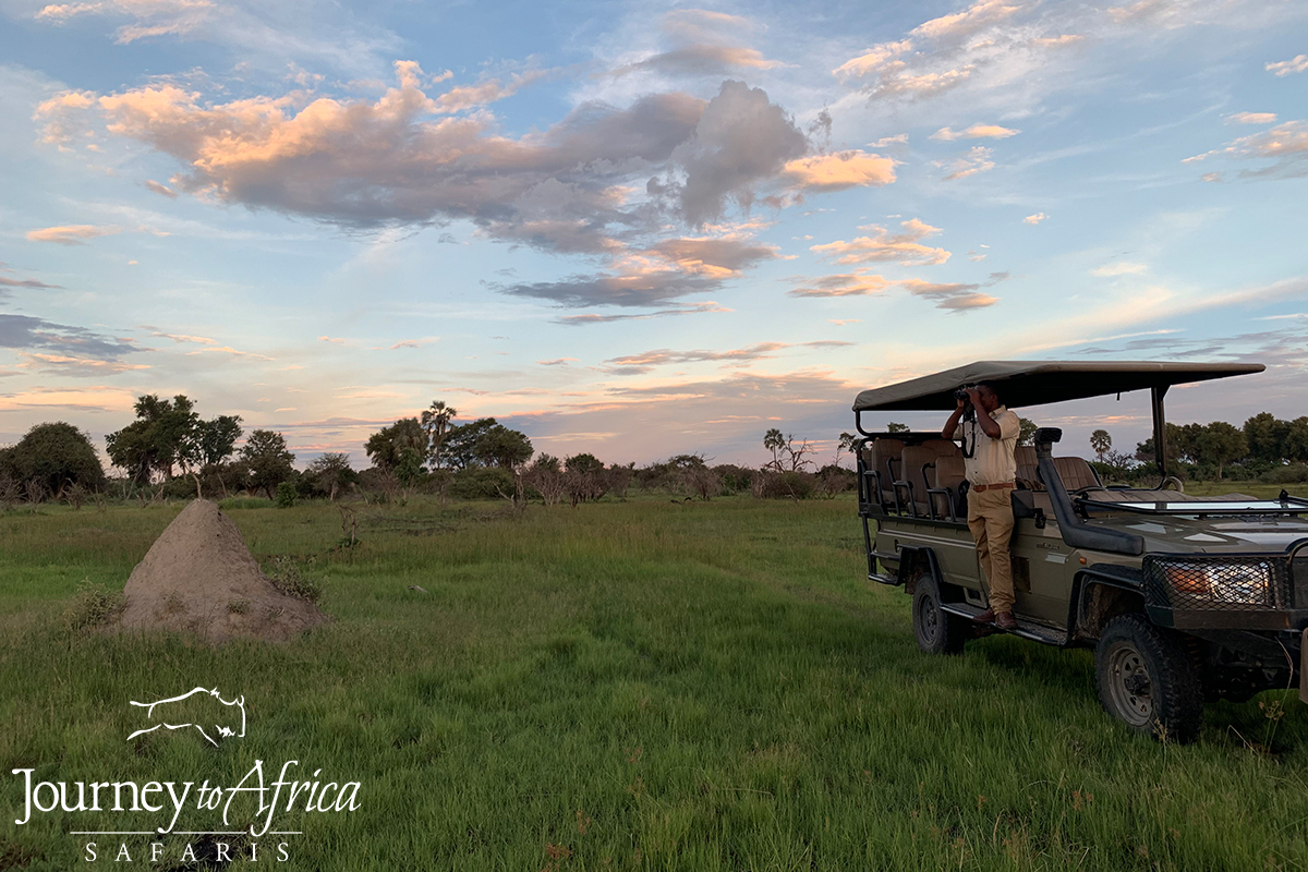 Mitre, my fantastic guide from Gomoti Plains scanning.