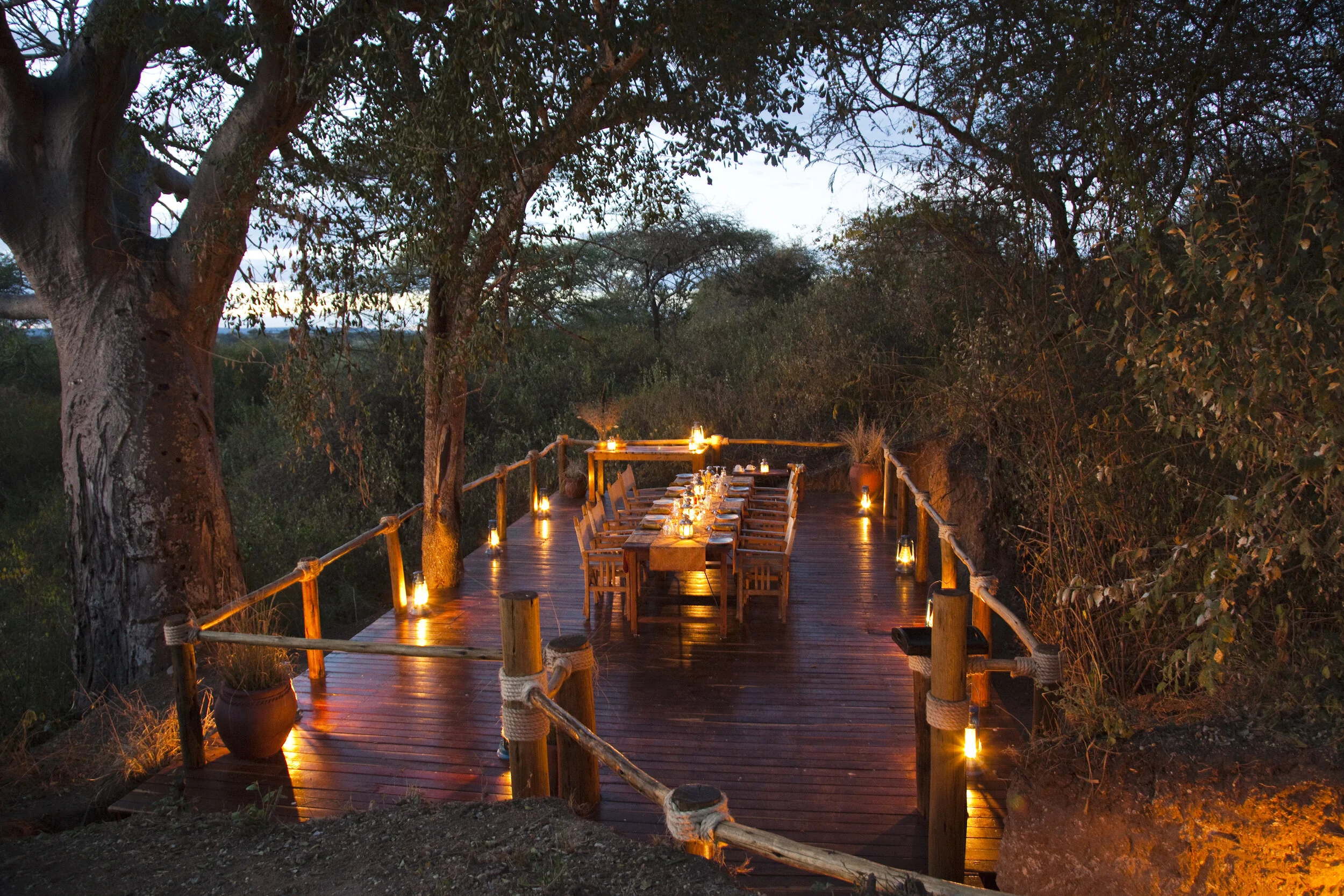 8-olivers-camp-dining-terrace-under-baobab.jpg