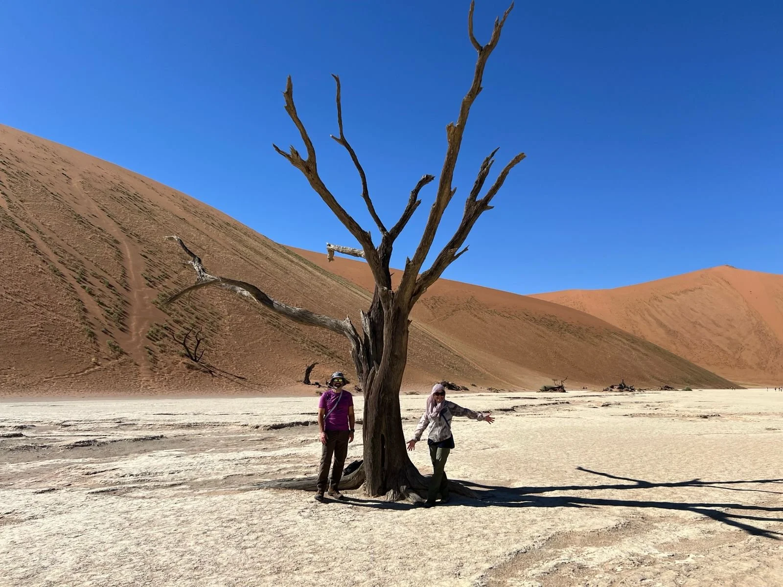 WhatsApp Image 2025-05-25 at 01.45.11.jpeg