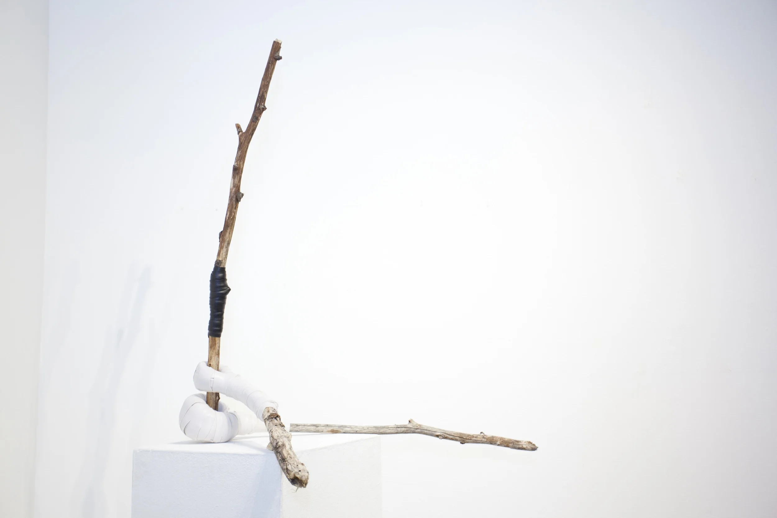 snow_tree_1.jpg