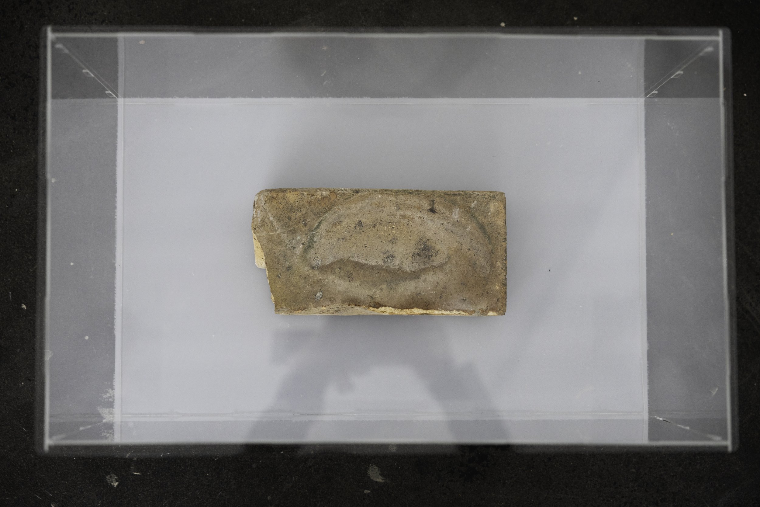 _X2A8481-Edit kopier.jpg