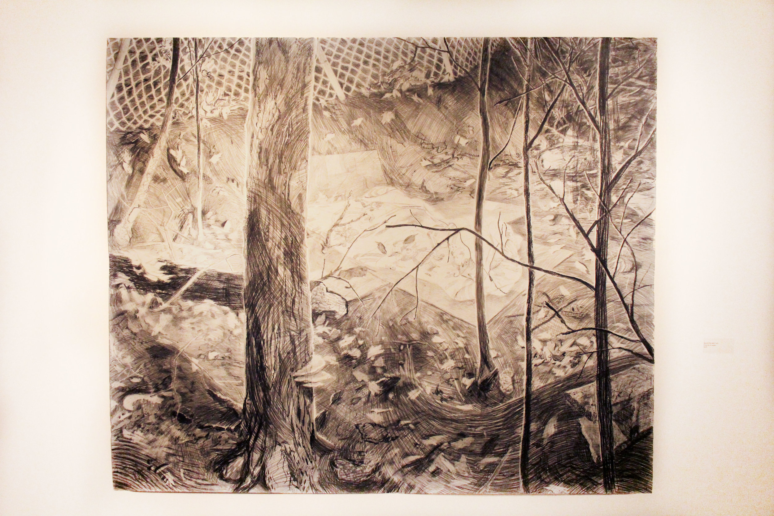 Beyond Rachel’s Yard; Graphite on paper; 2010