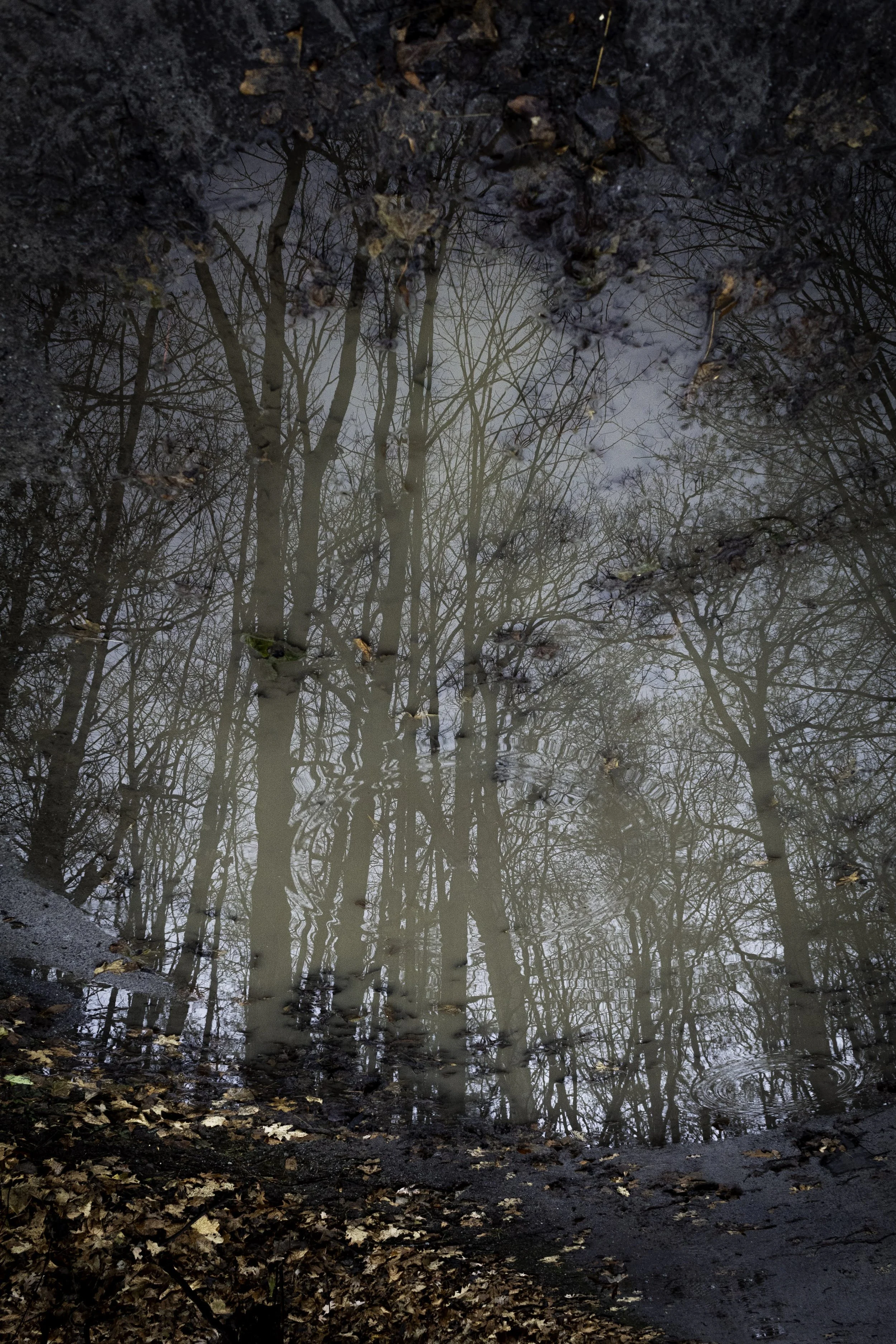 The Second Death of Eurydice