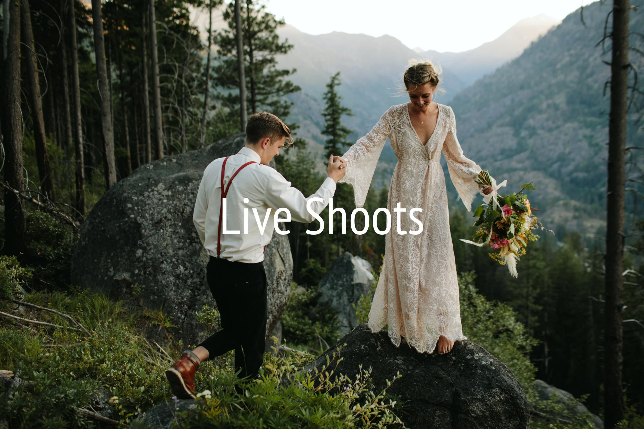 Live Shoots.jpg