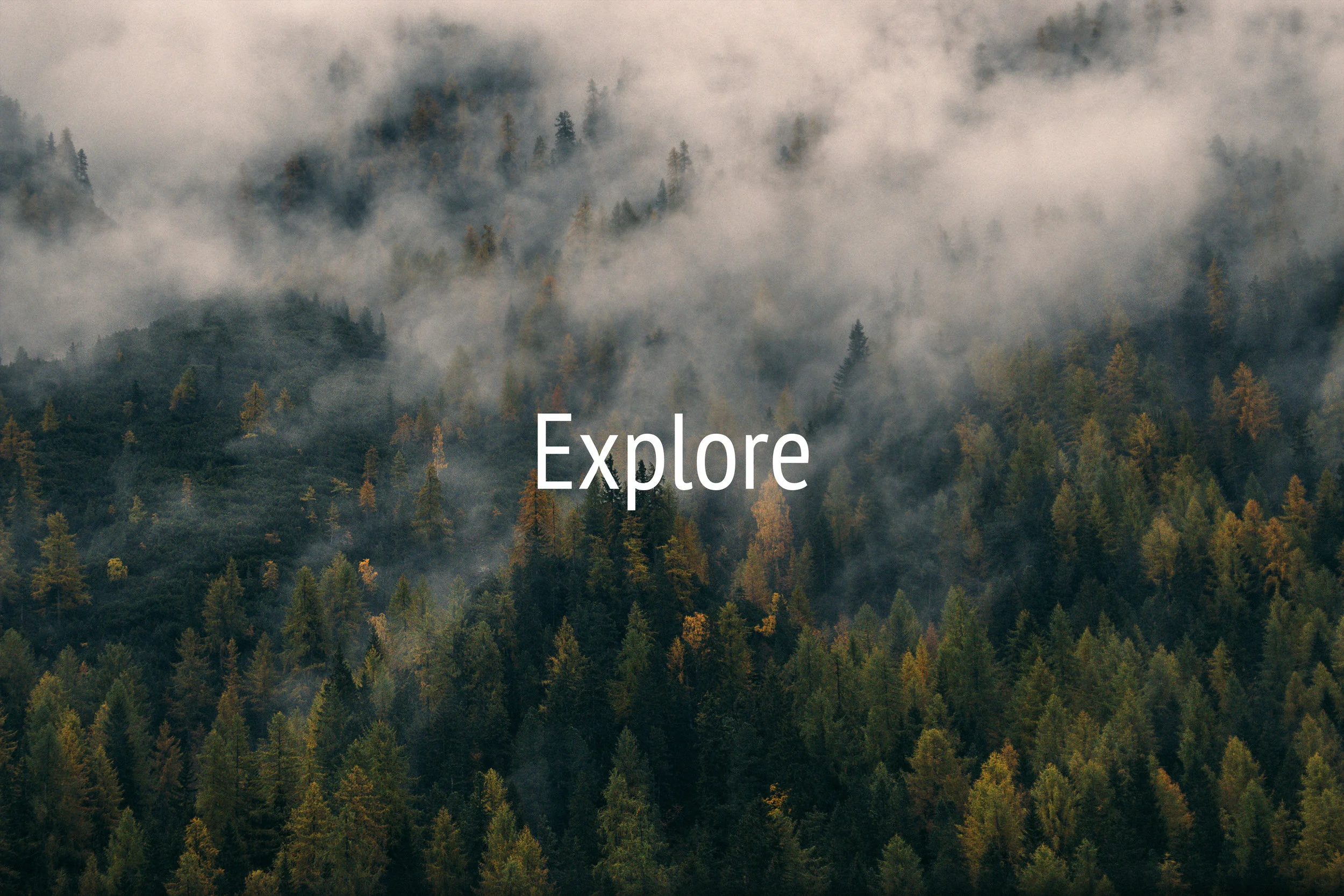 Explore.jpg