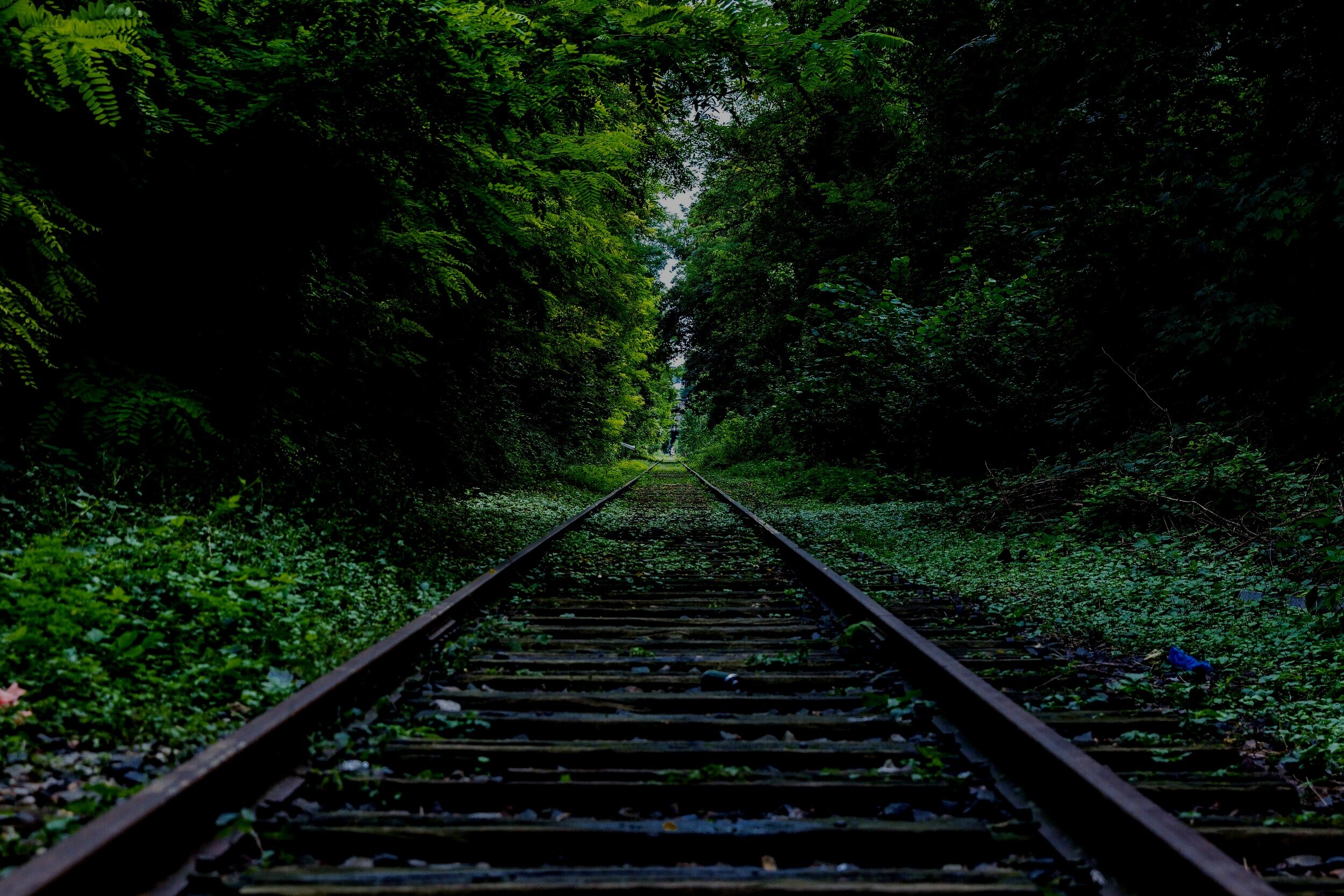 abandoned-forest-hd-wallpaper-34950.jpg