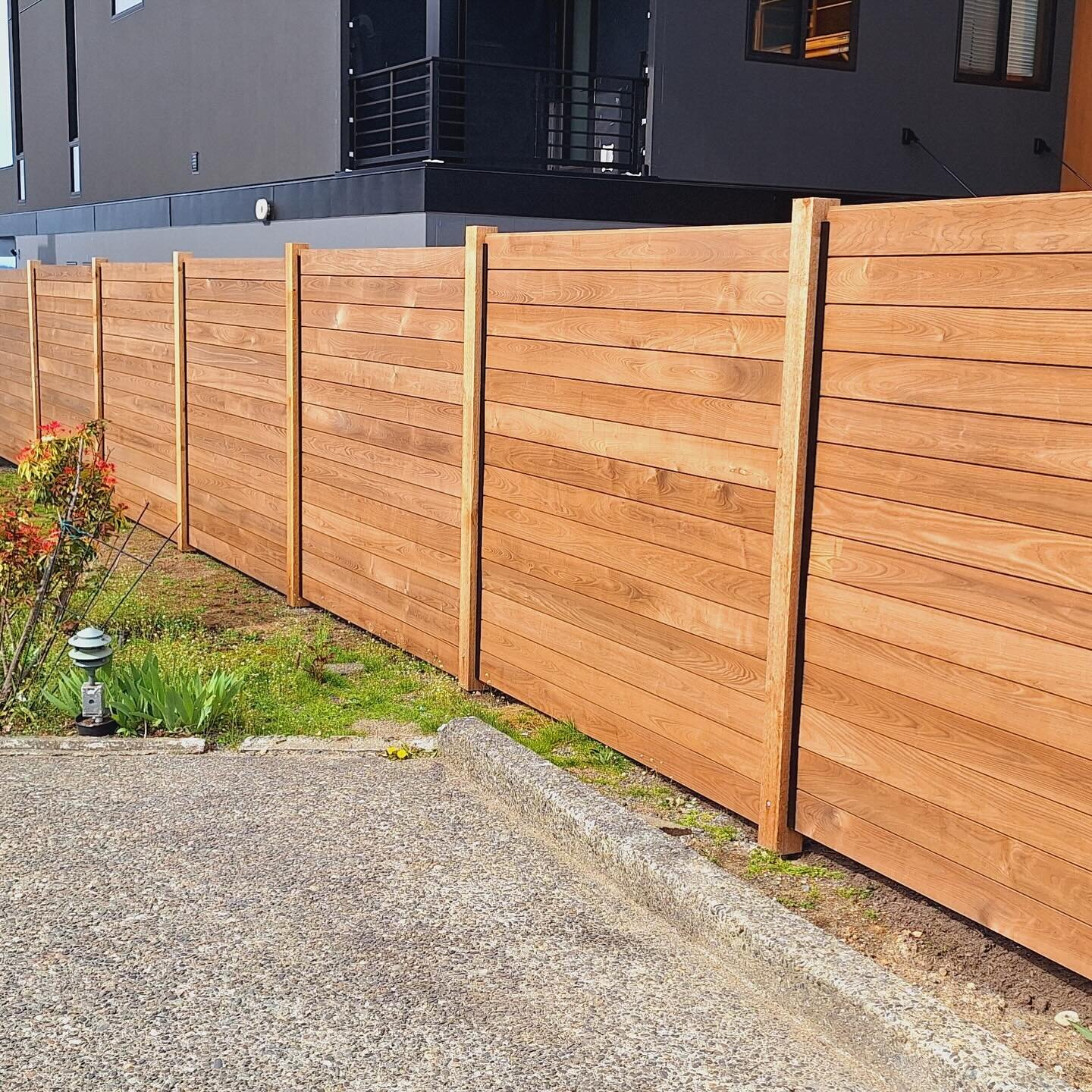 Beautiful from every angle. Newly installed thermally modified ash fence in Seattle, WA.