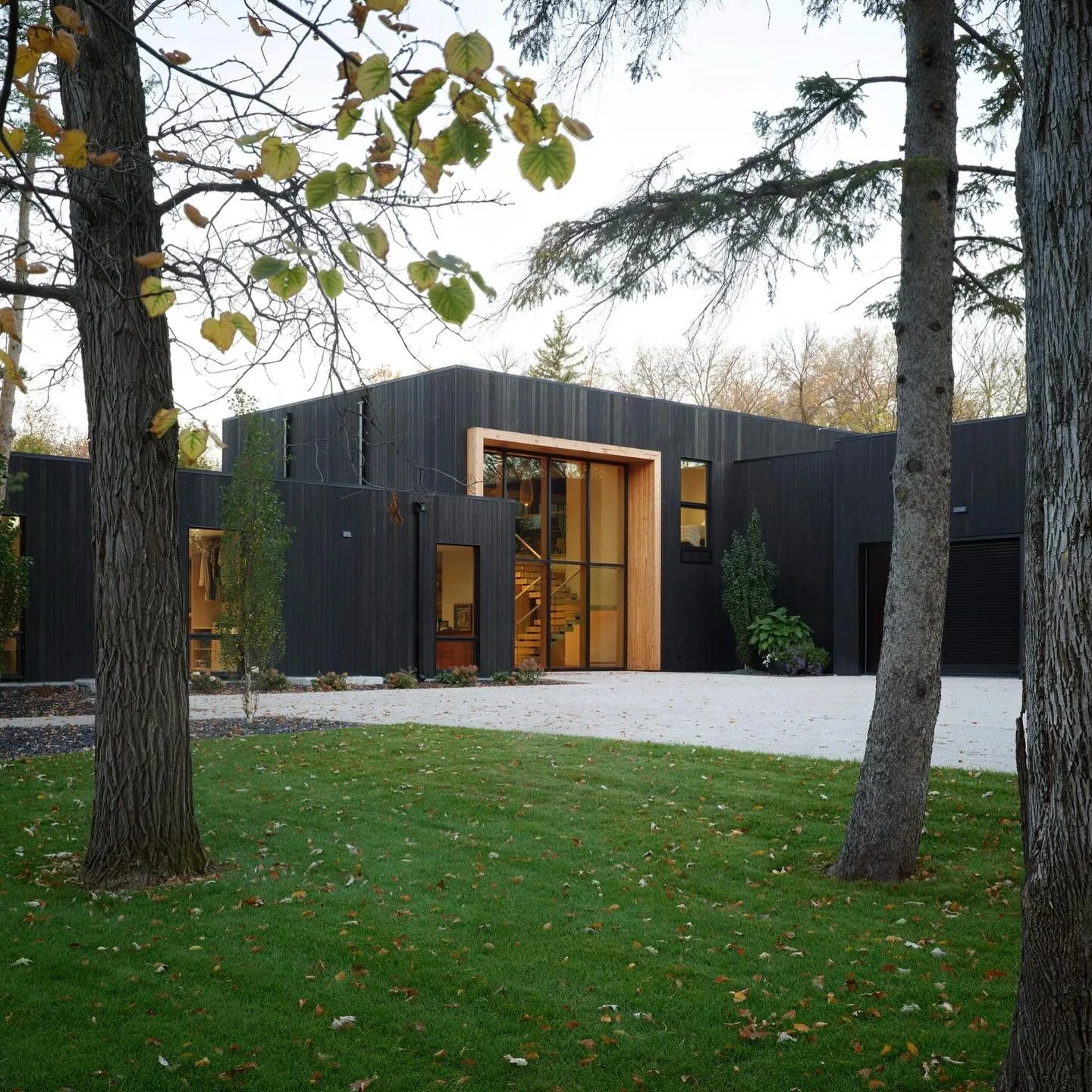 Wood that performs as well as it looks. Our BRNSH pine cladding stands the test of time with stunning good looks on the V residence in Manitoba. 

Architect: @1x1architecture 
Builder: @harris.builders 
Photos: Lisa Stinner-Kun @stinnerkunphoto 

#ar