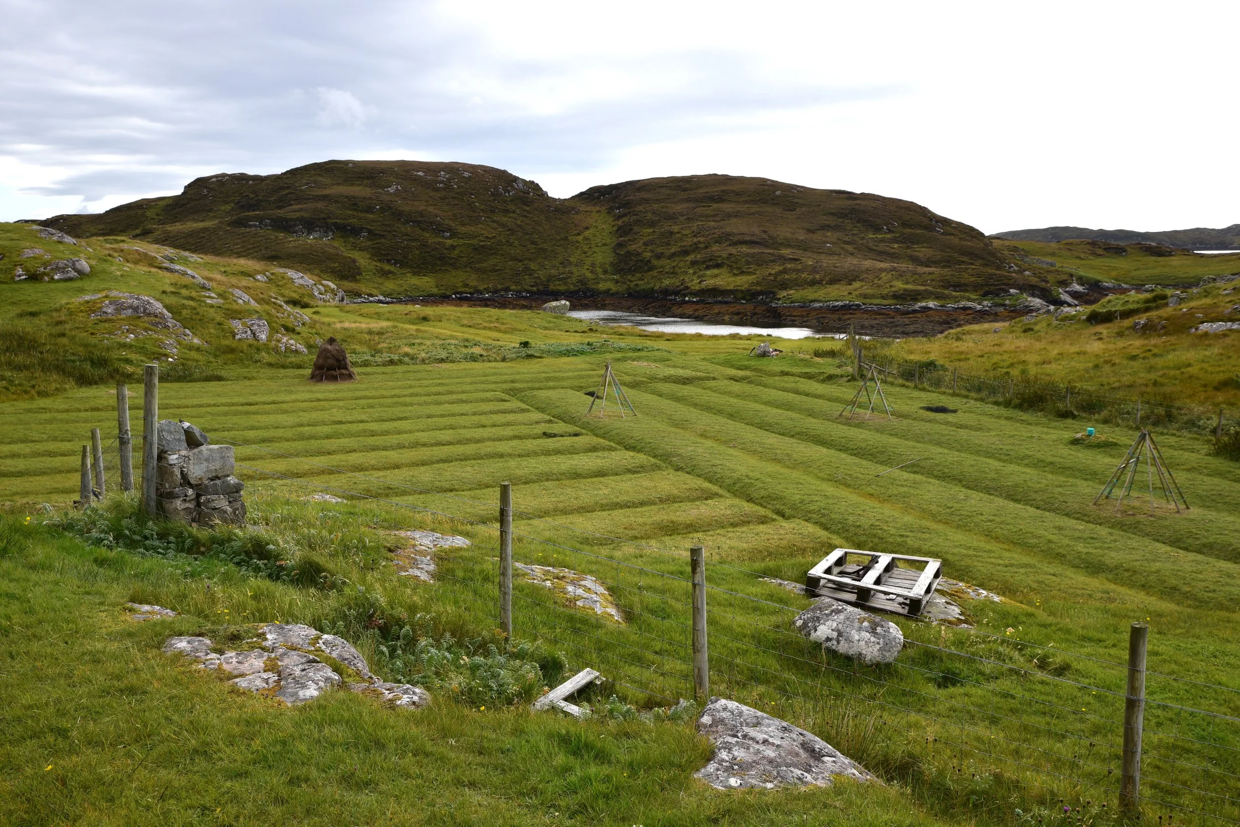 DSC_3170.jpg