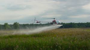 "County Approves Continued Use Of Controversial Insecticide in Mosquito Control"