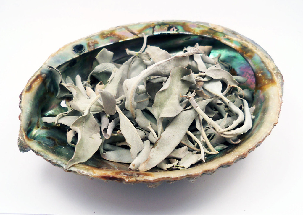Abalone shell filled with White Buffalo Sage