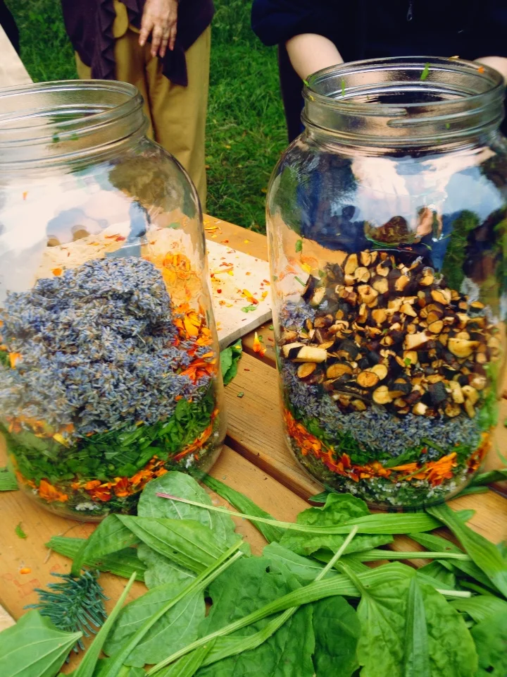 Medicine making workshop