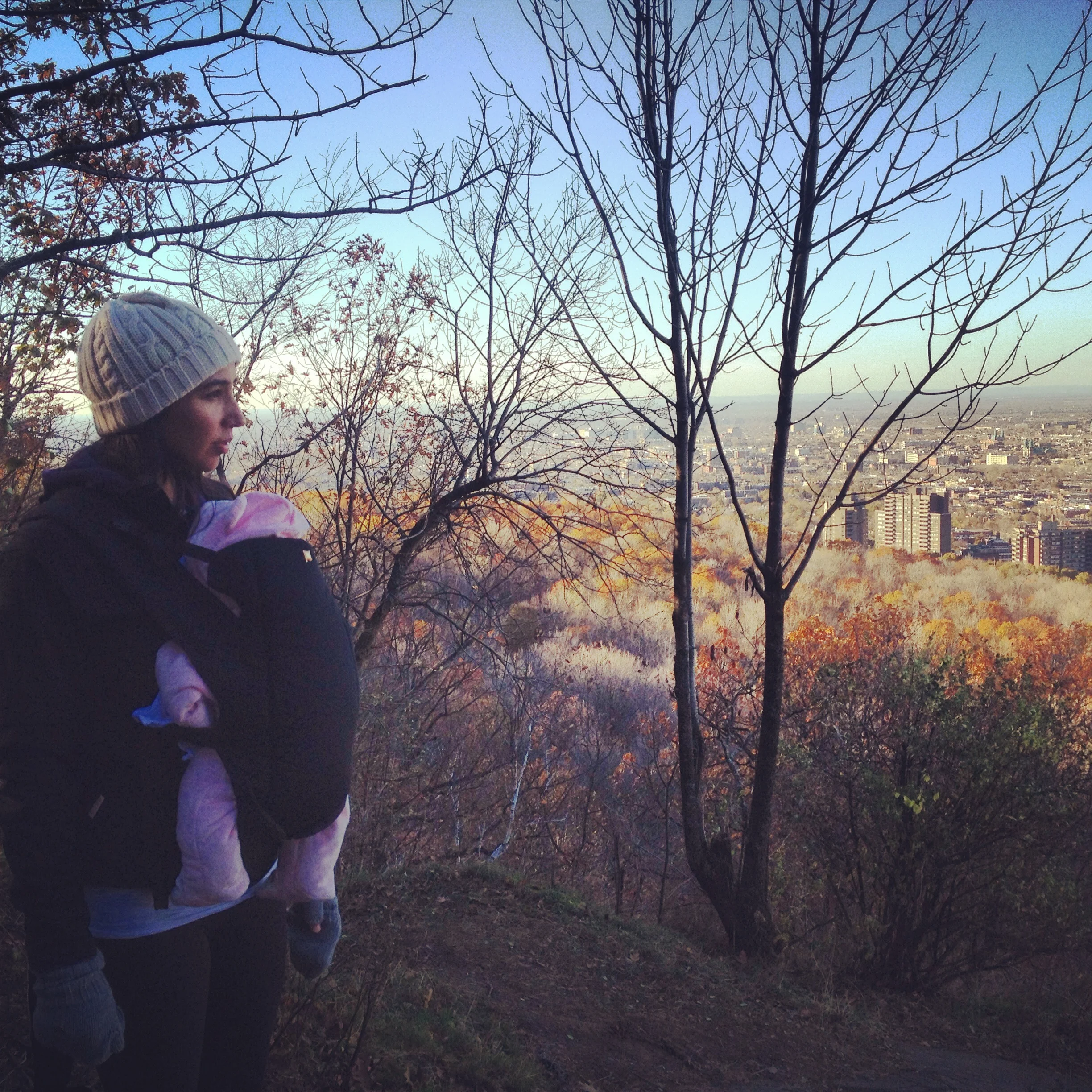 Winter walking, hiking and foraging with my newborn daughter on Mont Royal, Montreal, QC.