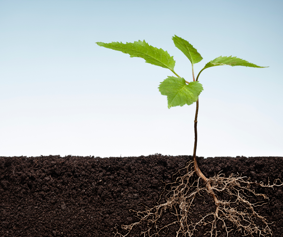 Elevate Yoga - Tier 1