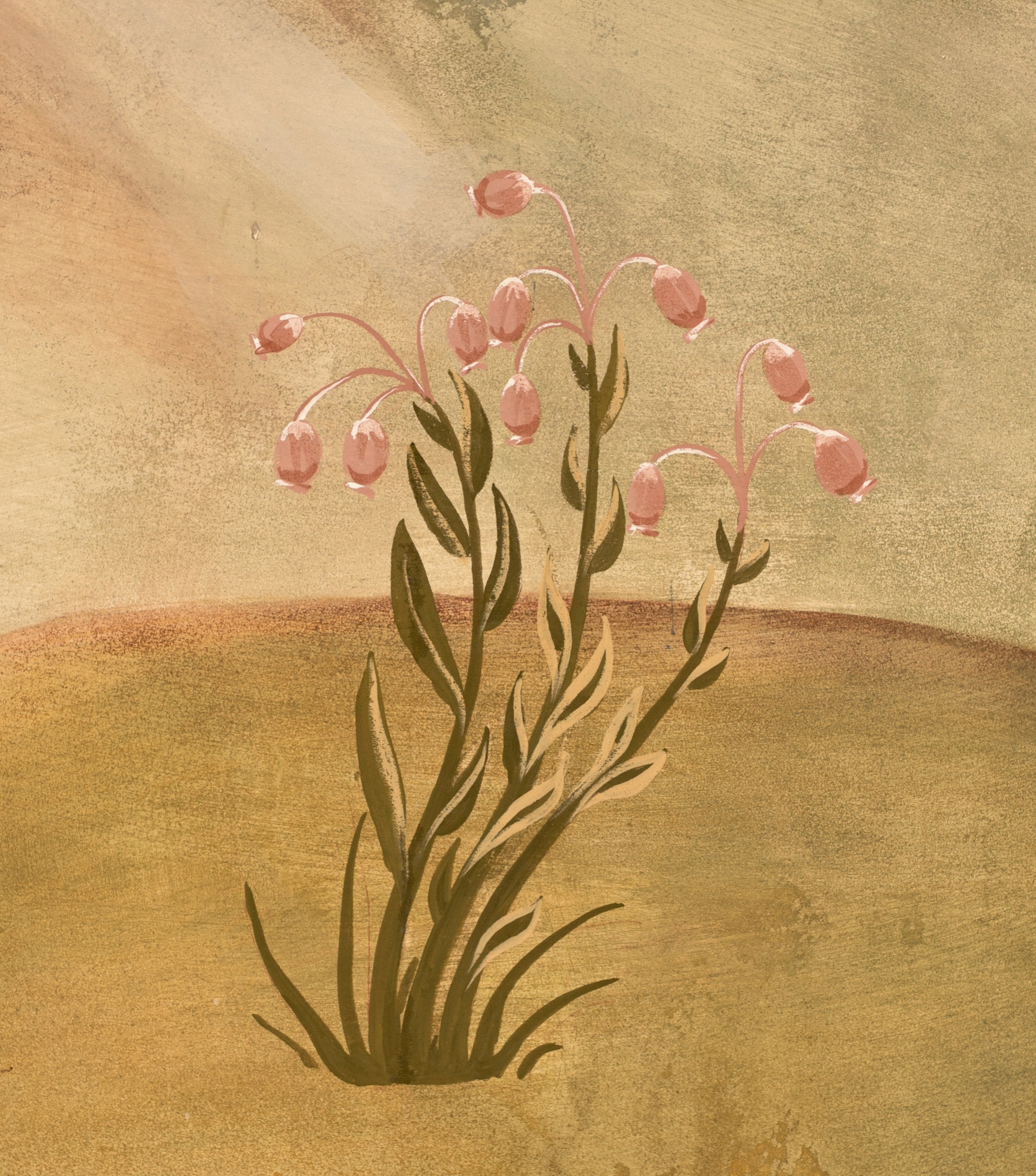 Bog Rosemary