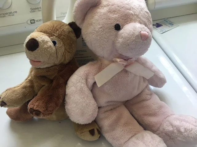 Ralphie and Snuggels back home and getting ready for a bath!
