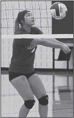 Cynthia Haro sets up a spike.