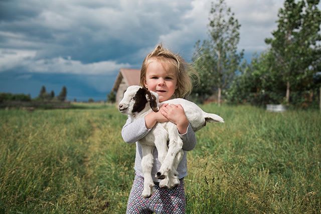 One day old baby goats are everything you think they&rsquo;d be. We have loved spending time on this farm! More over on my personal account in the stories.
