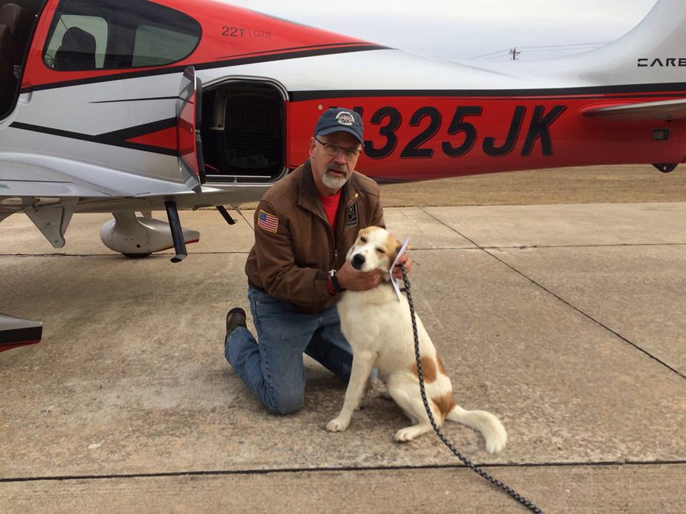 Our First Service Dog w/pilot