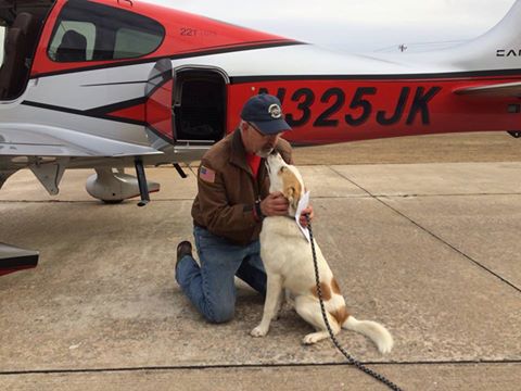 Special service dog in route to Indy