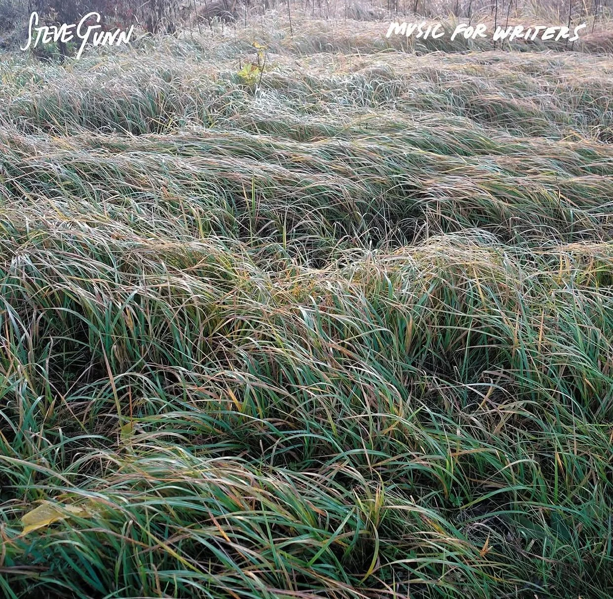 Music for Writers