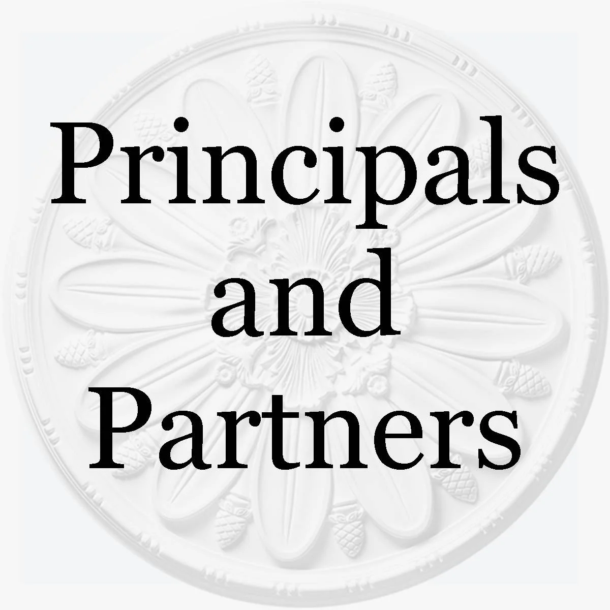 Principals and Partners Icon.jpg