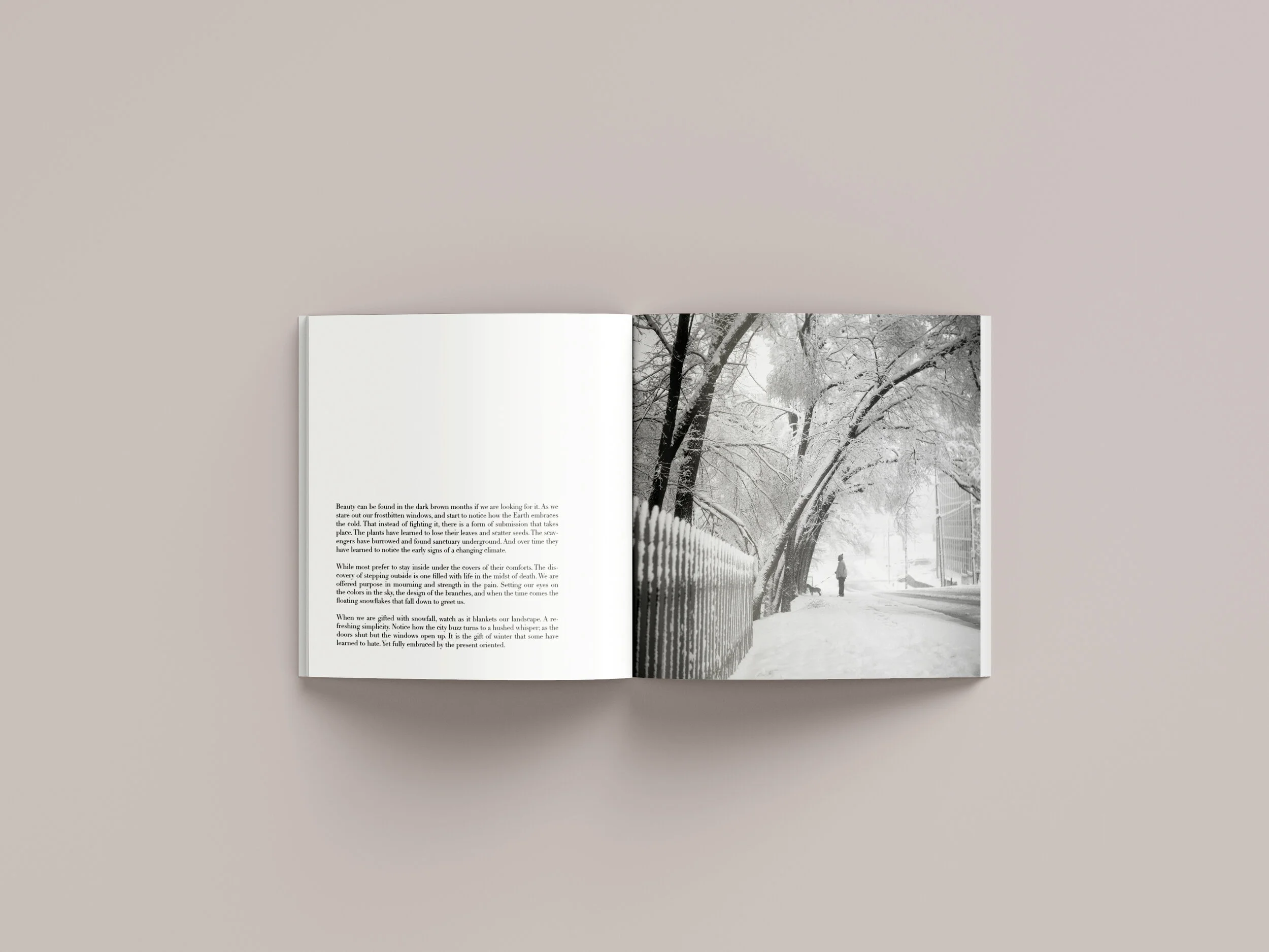 Open Mockup 1.jpg