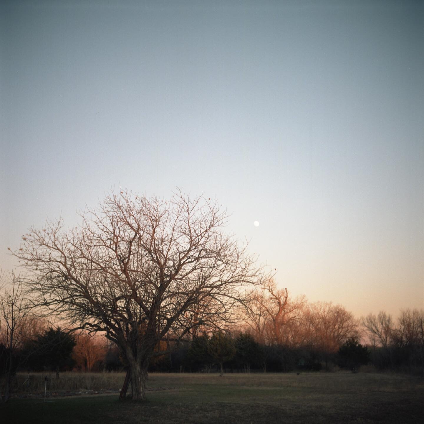 Moonrise in Wichita. 

Yashica-A, Kodak Portra 160
&mdash;
#sheshootsfilm #filmphotography #120mm #mediumformat #grainisgood #ourmomentum #subjectivelyobjective #filmphotomagazine #boxspeedfeature #microlandscape