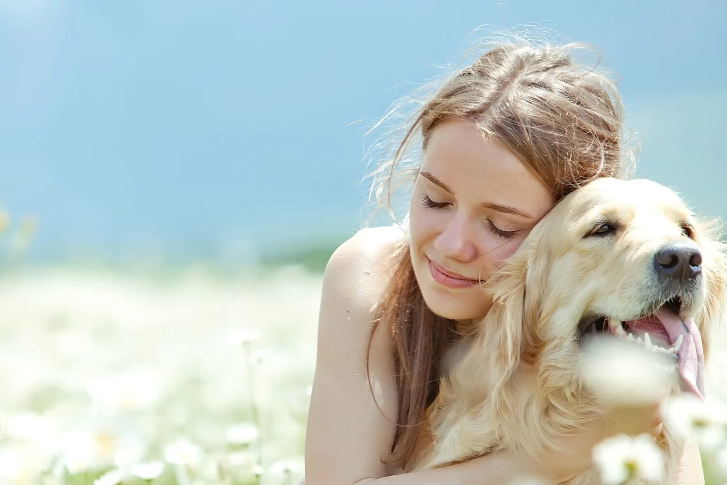 Dailley Mobile Veterinary Services