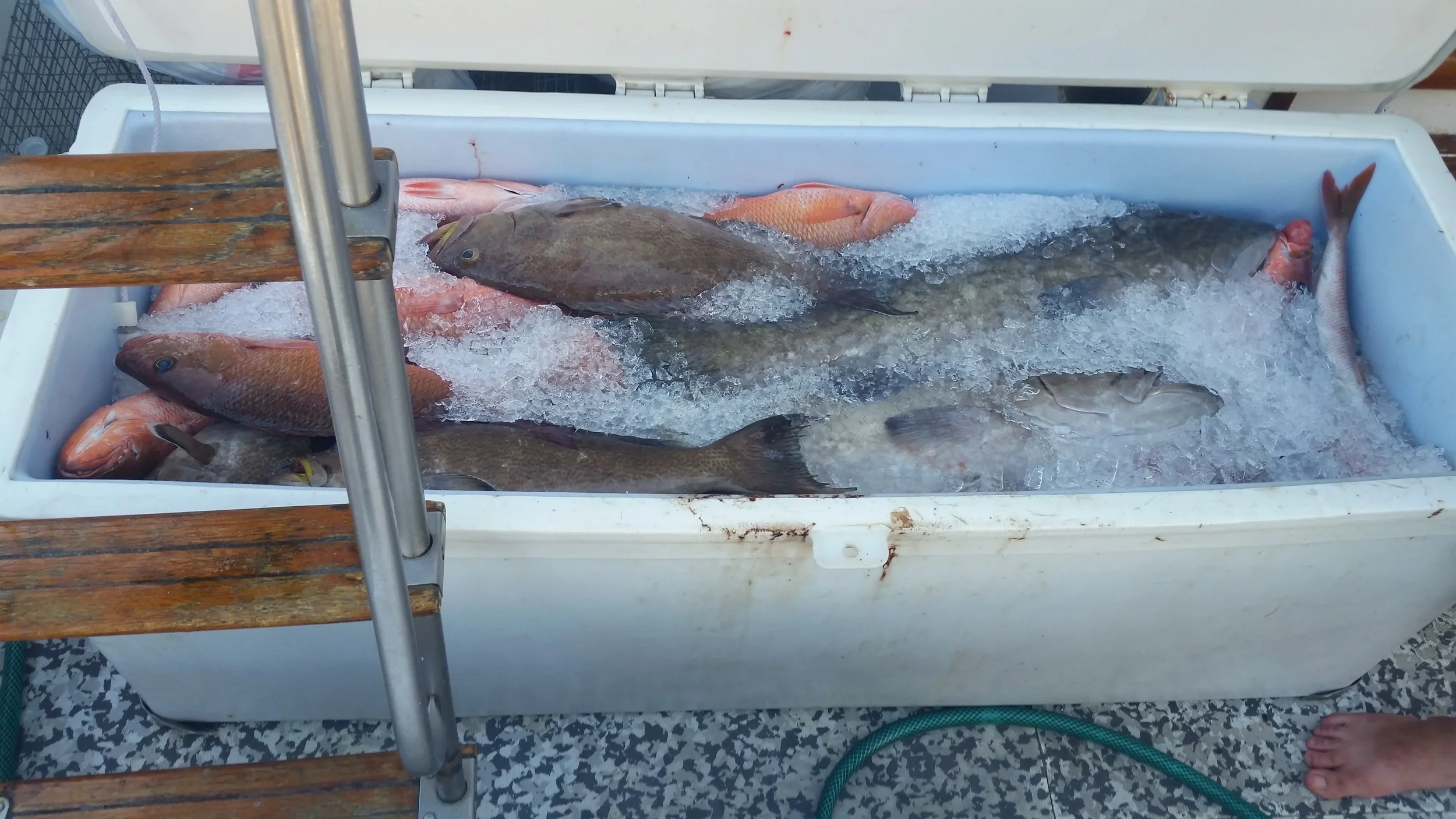 20150823_182224.jpg