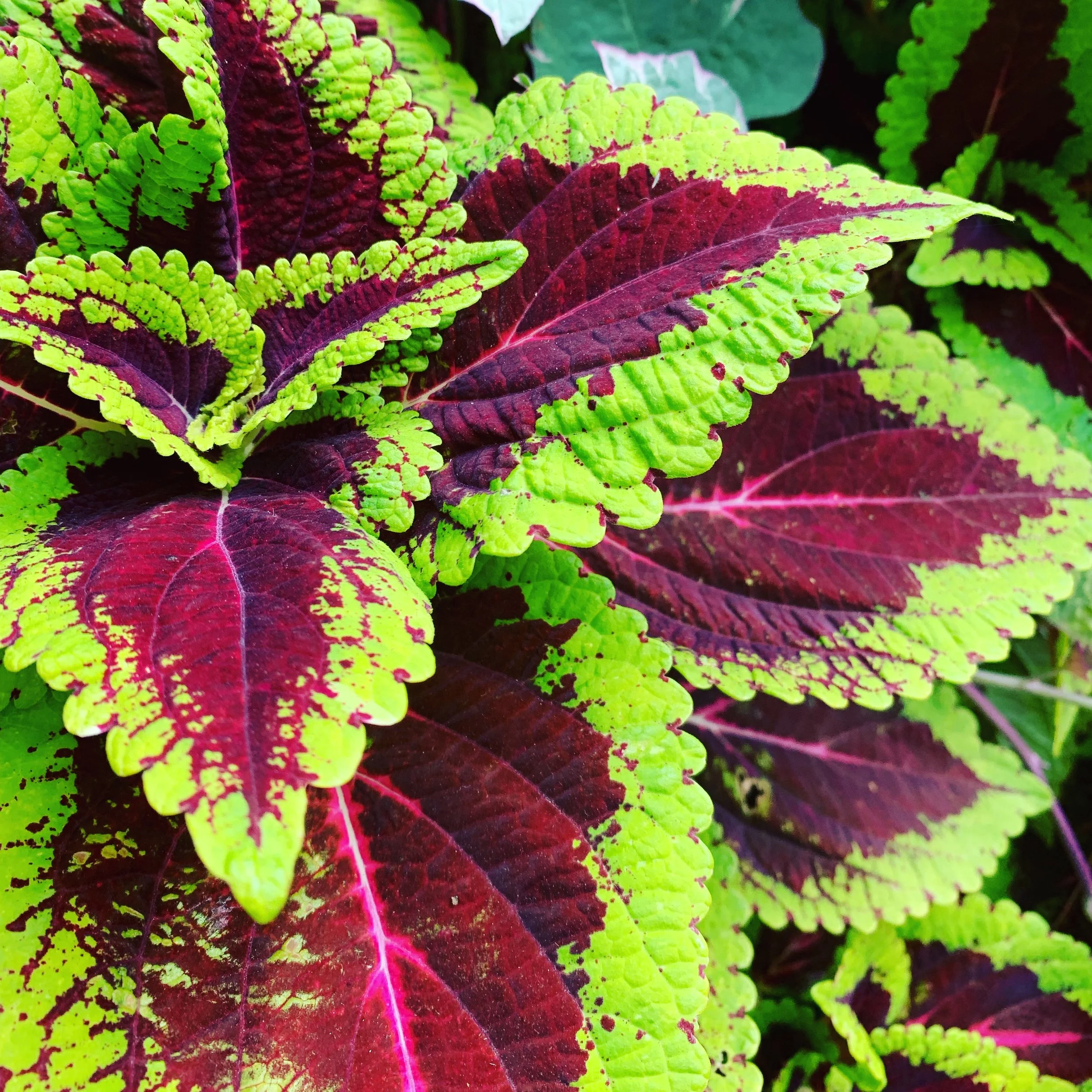 Day 9: 30 Days of Nature