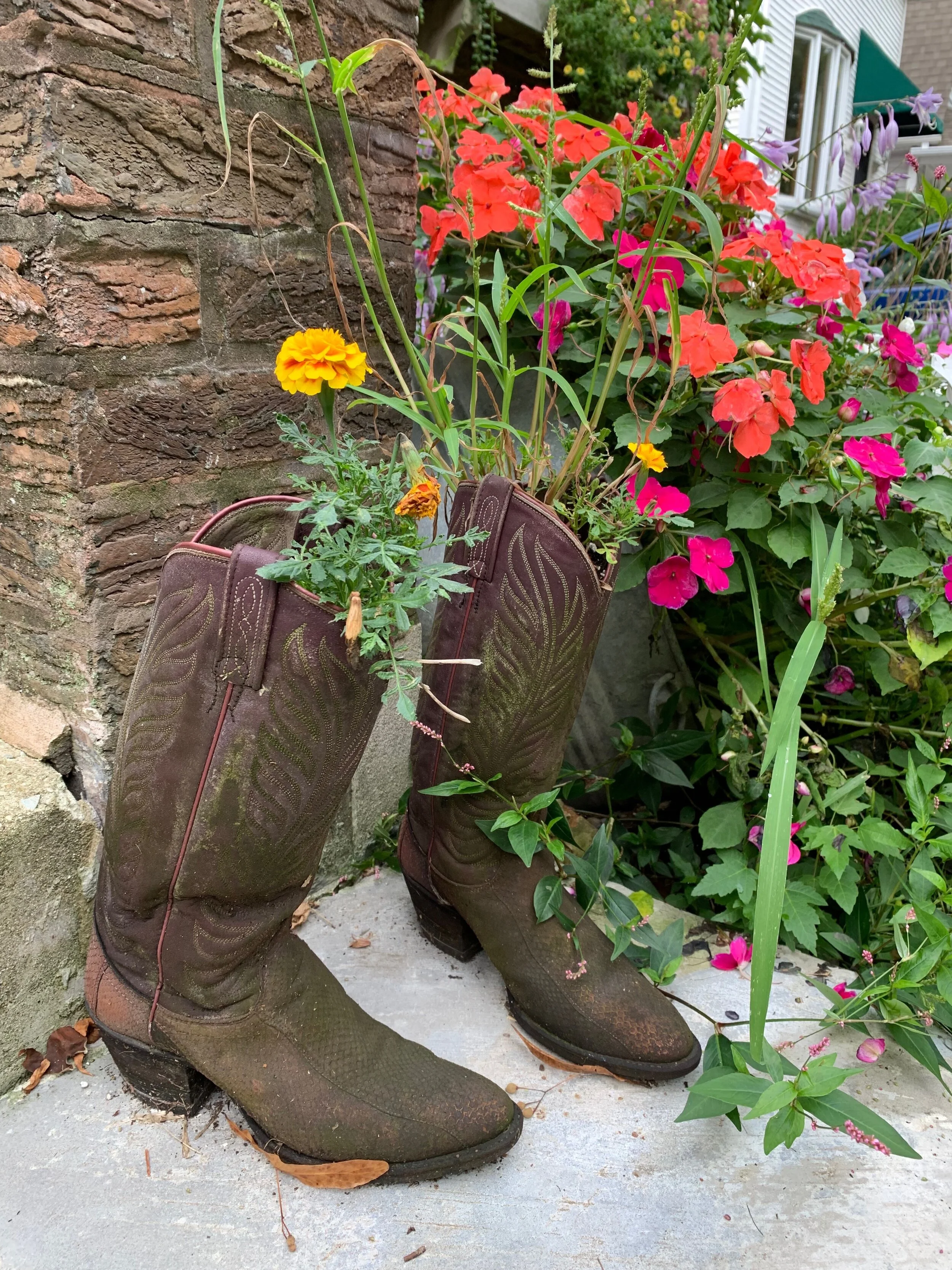 Boots Planter #30DayNatureChallenge.jpg