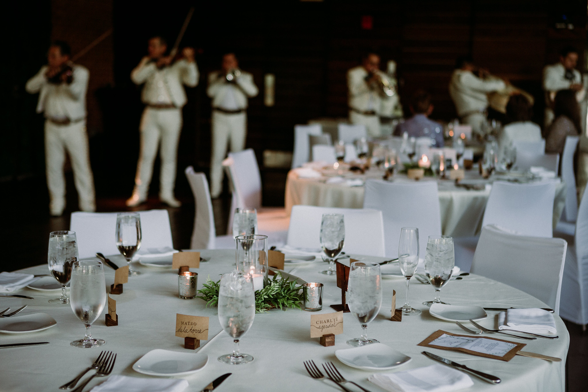 Reception. Wedding at The Grove at Discovery Green Park (Houston, TX)