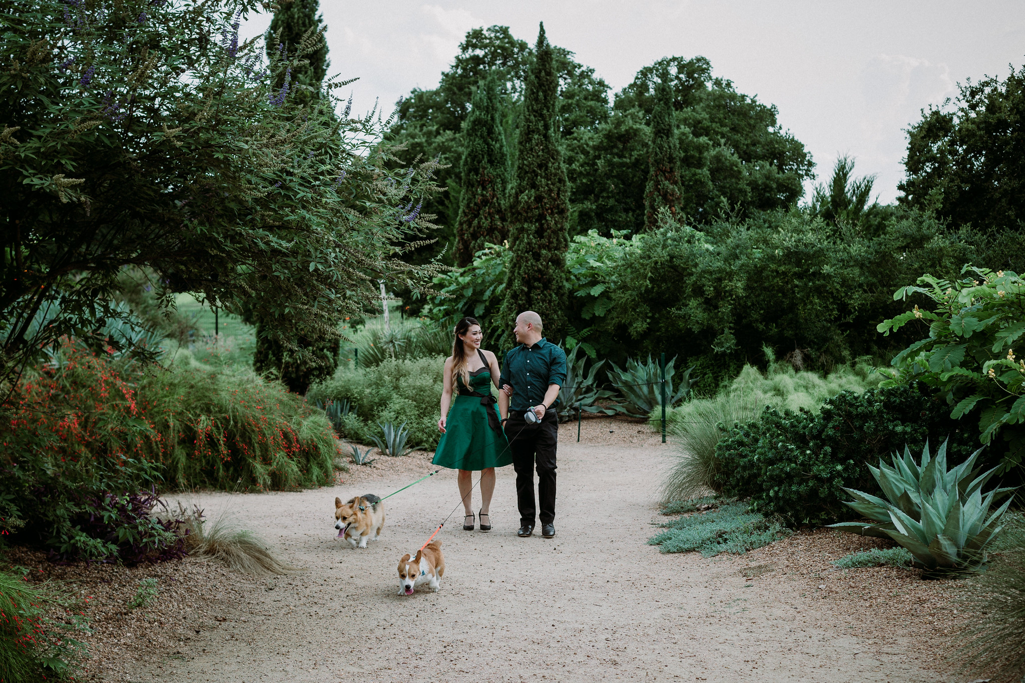 Engagement Photo Session with two cute corgis at McGovern Centennial Gardens (Houston, TX)