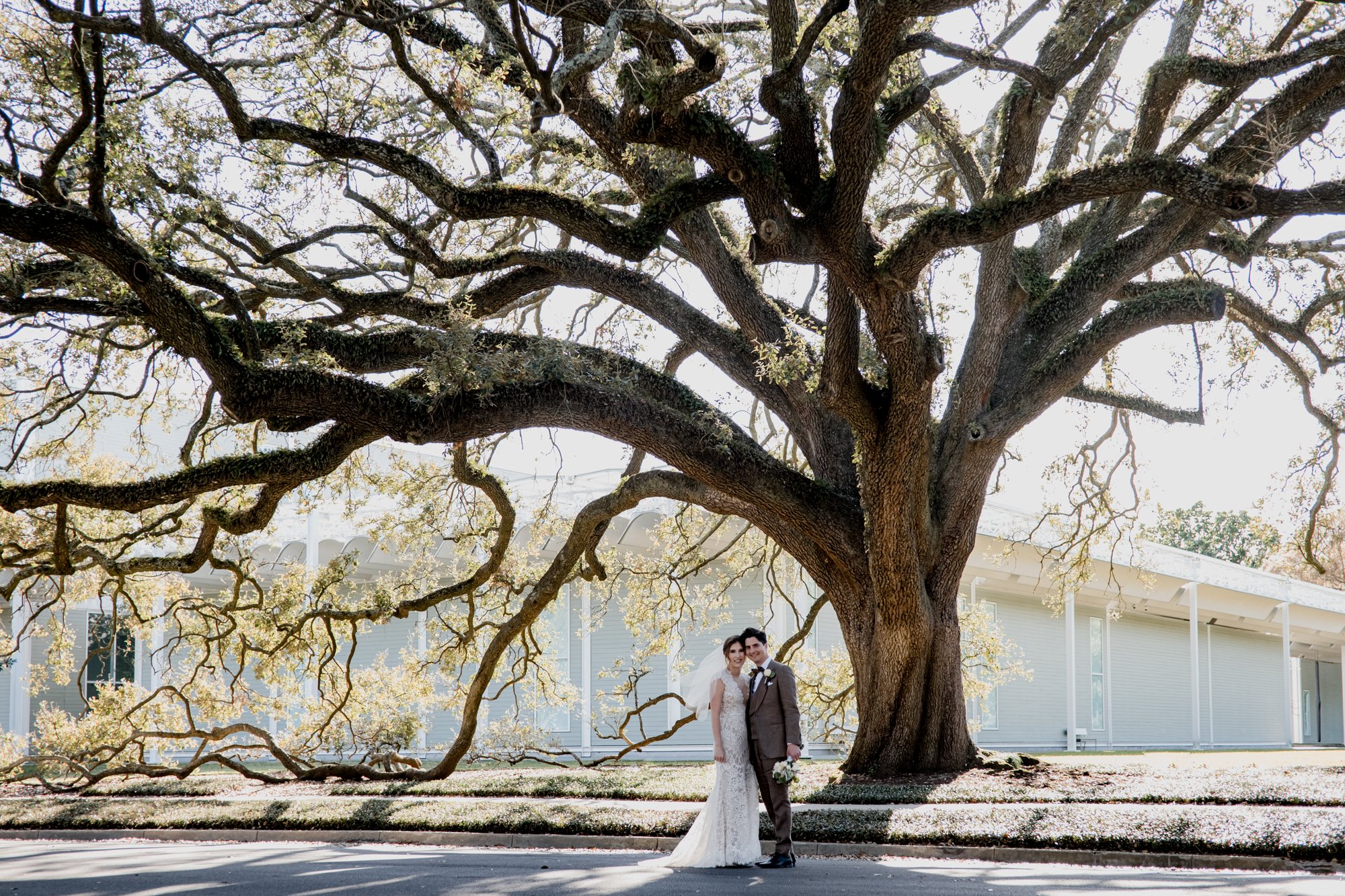 Wedding bride and groom at Menil Park by the live oak