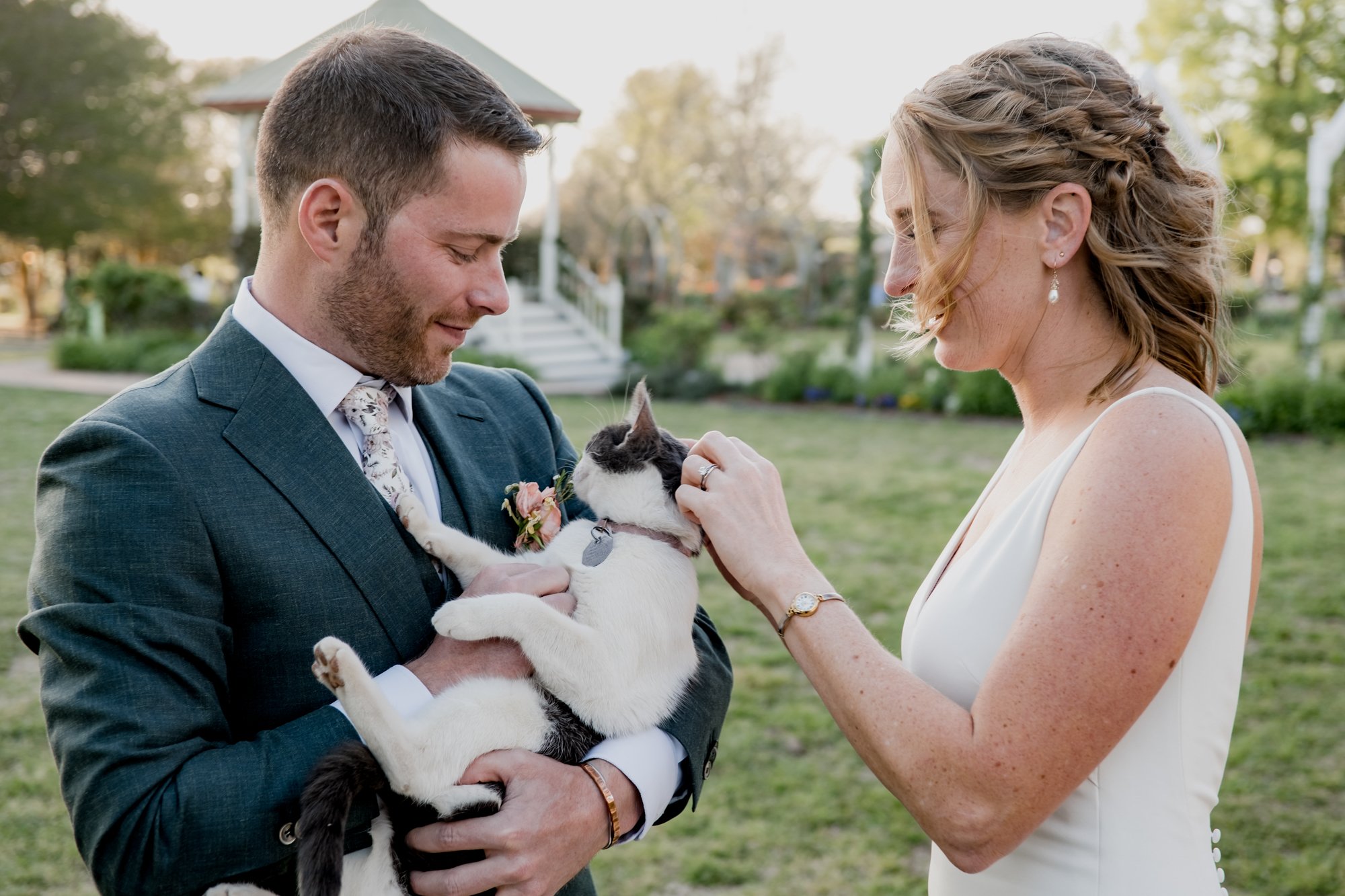 Bride and groom play with a cat - Wedding at Antique Rose Emporium