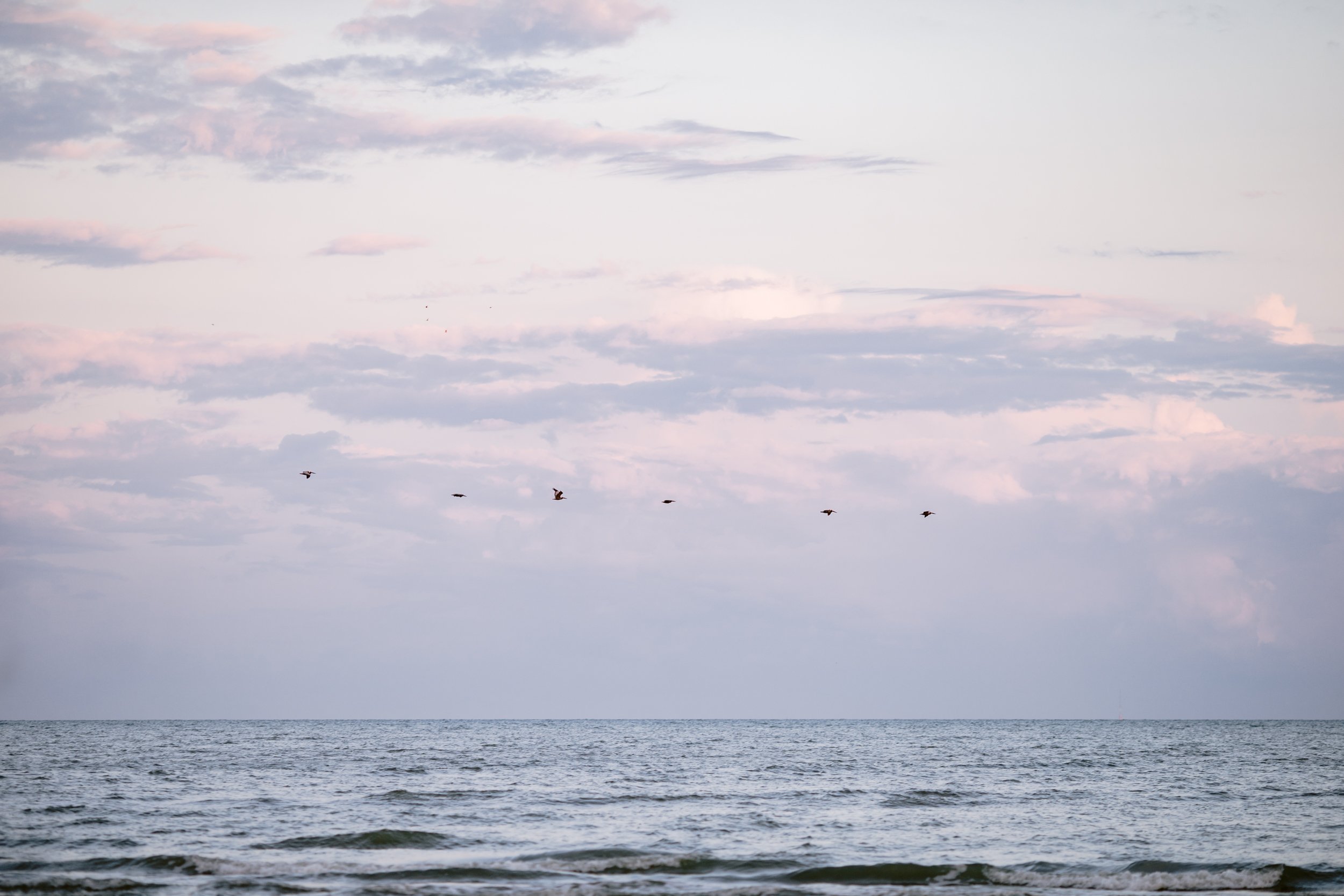 GivernyWeddingHayleyKenneth_0091.jpg