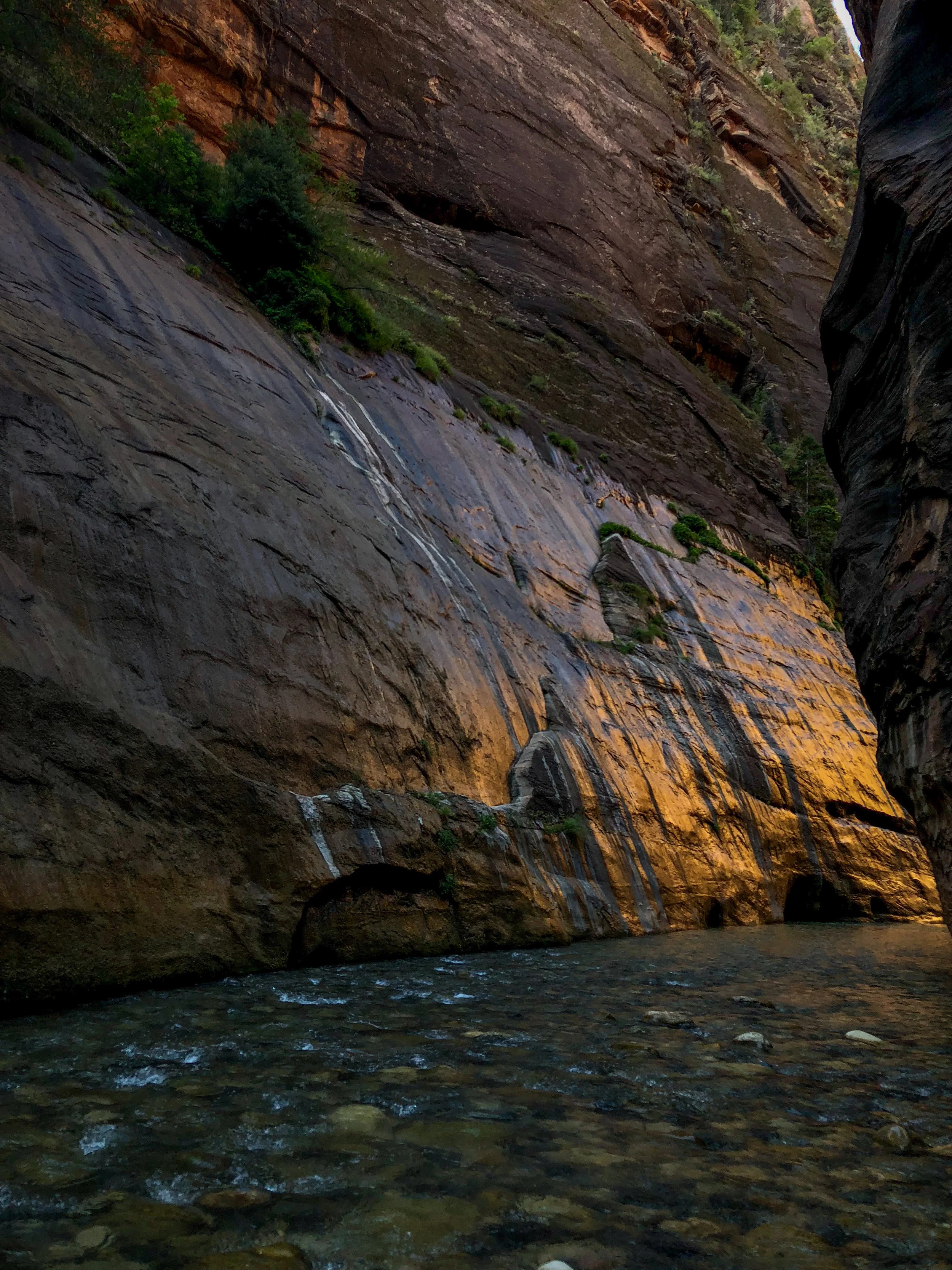 Early into the hike, this is how the walls looked with the sun coming up through the canyon.