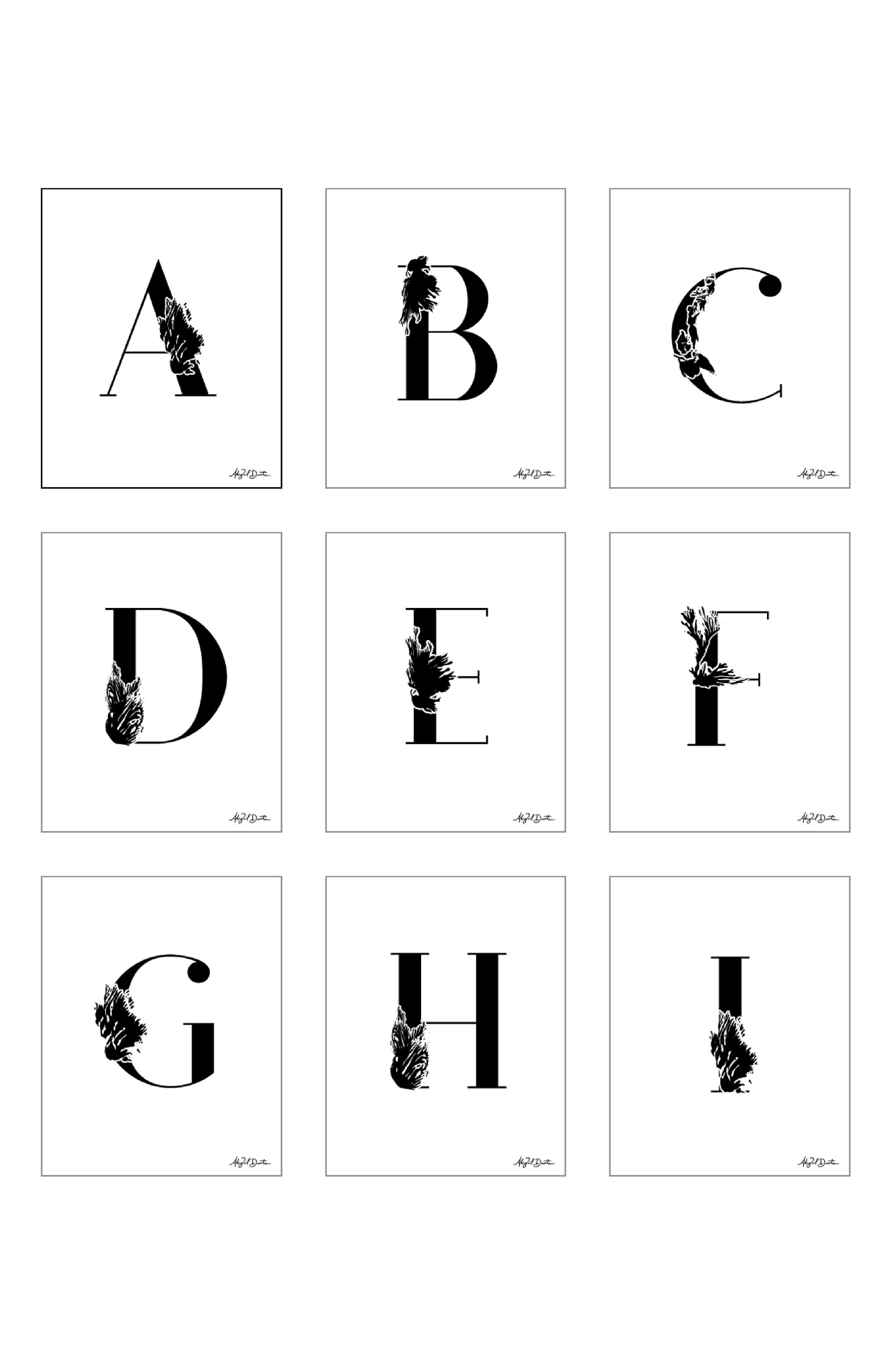 Frame-Mockup-Alphabet-04.jpg