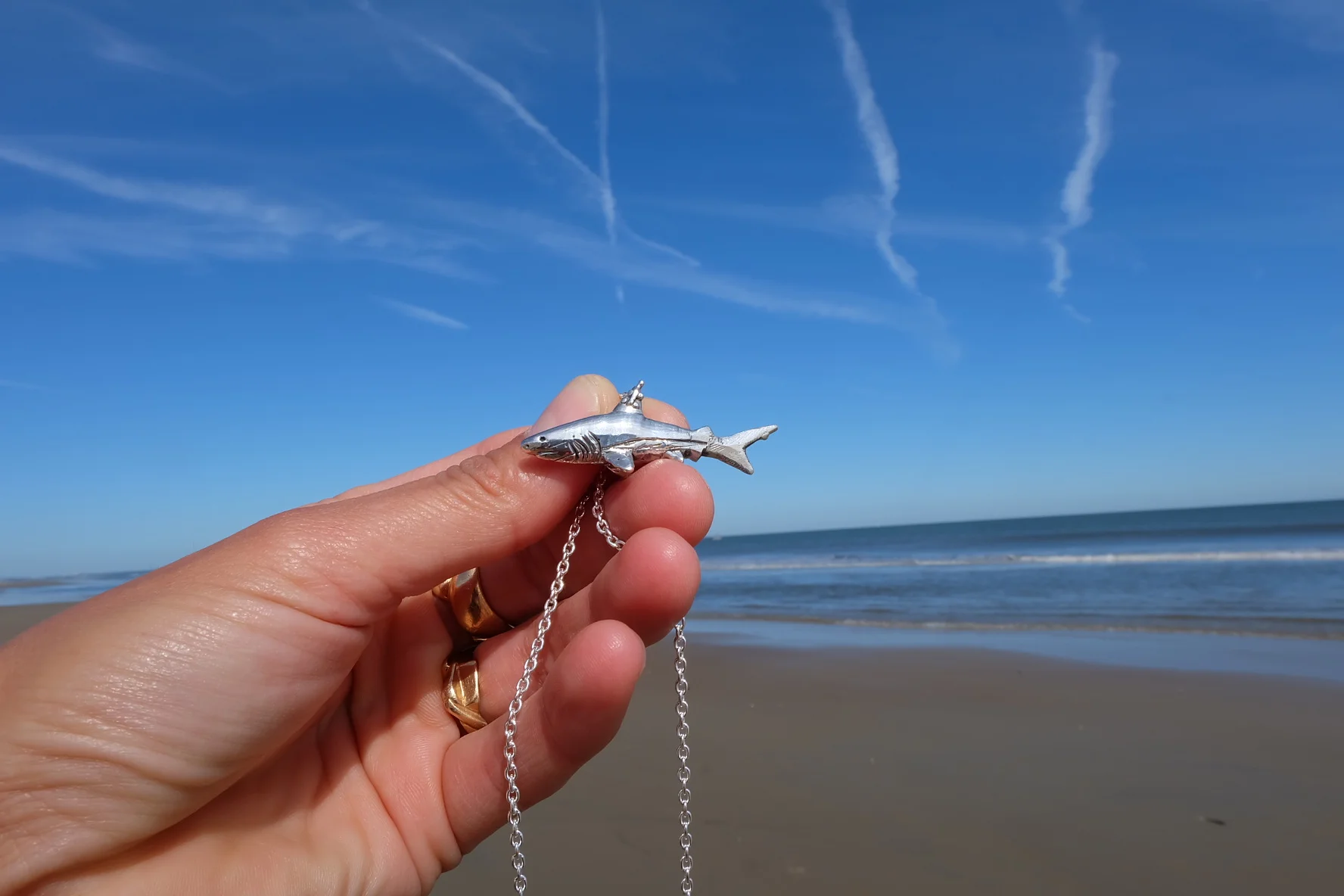 Shark Jewelry 