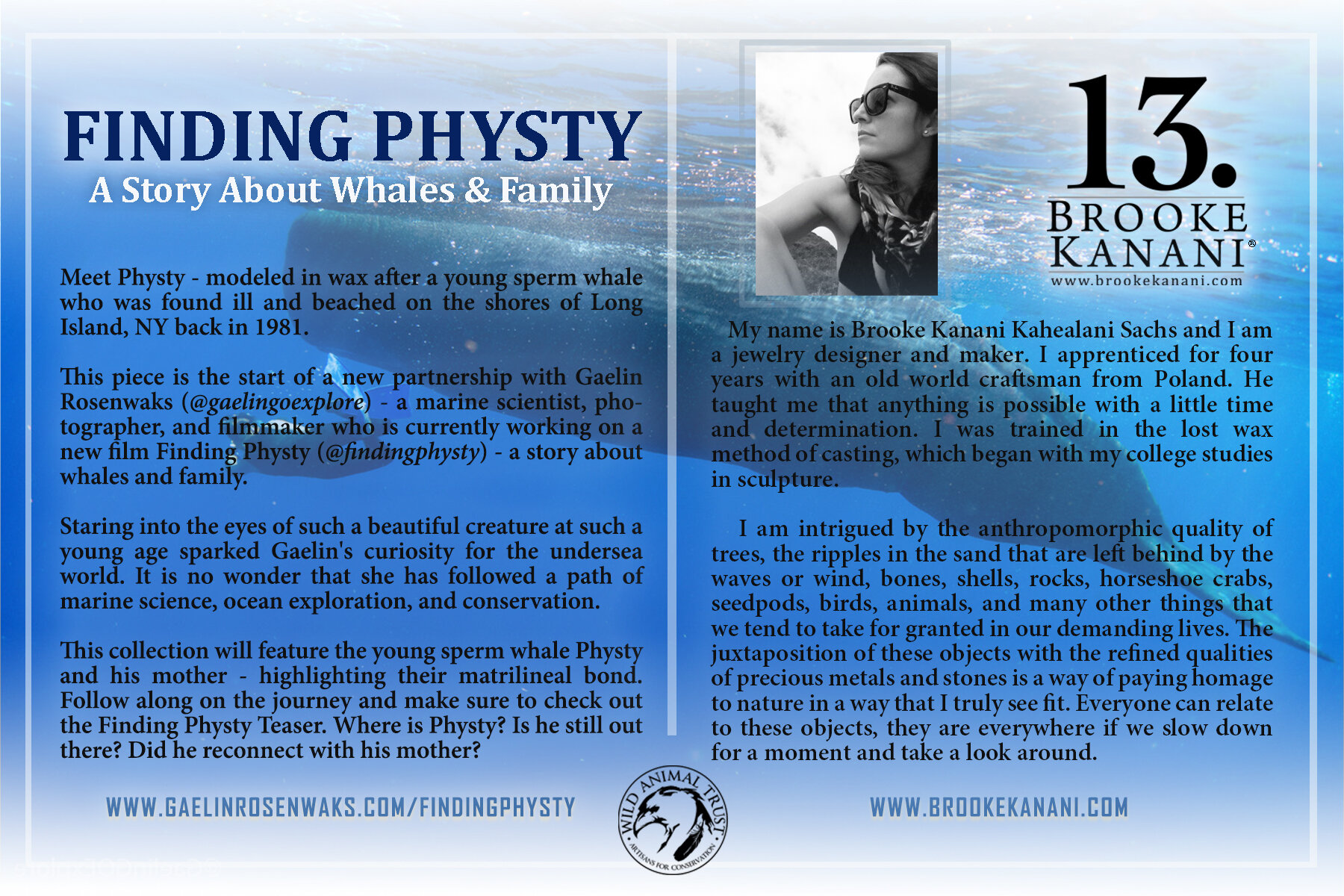 findingphysty-bk-back-2021.jpg