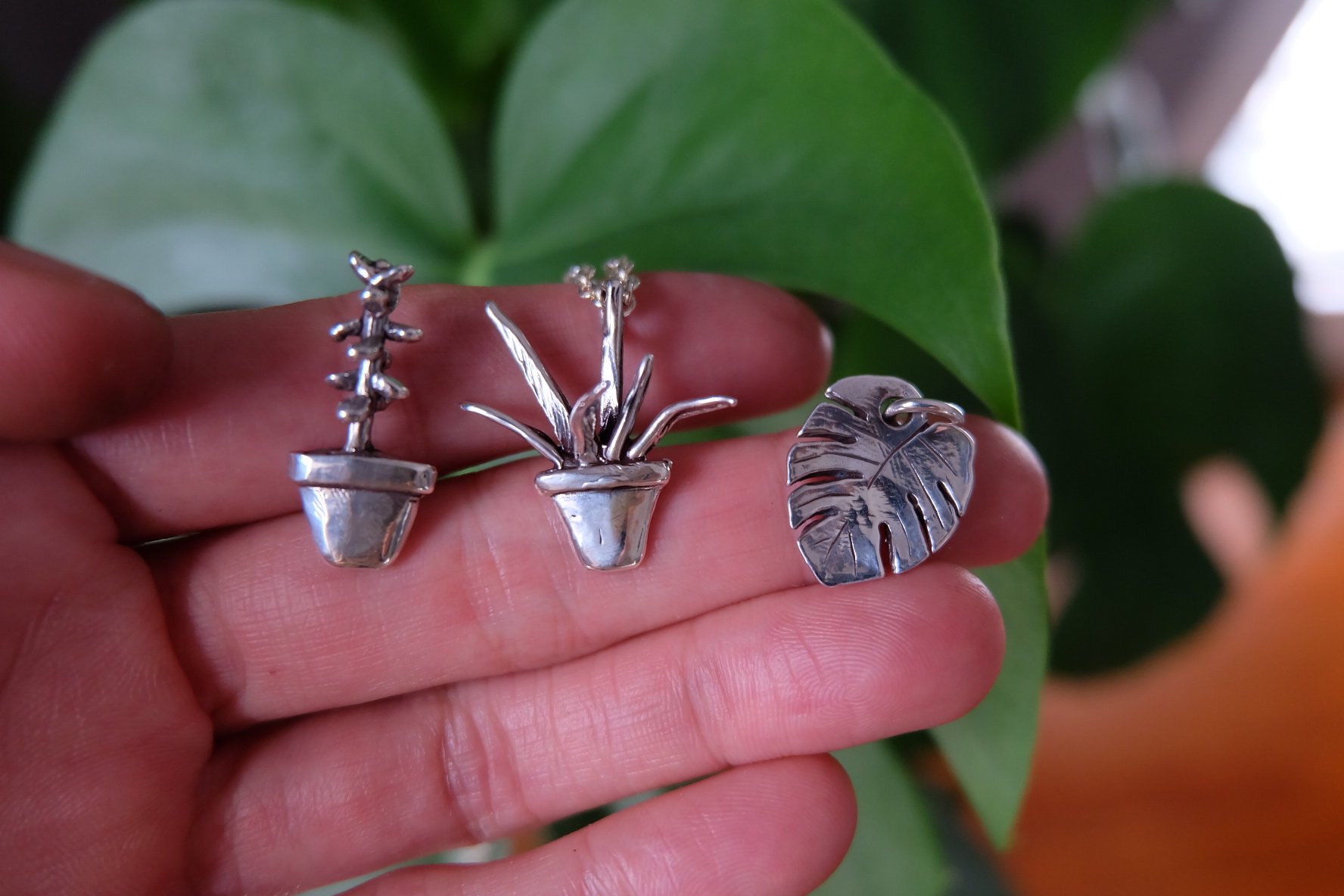 BBCF0B9D-FA03-435F-86C3-87EC2C228214-44197-000018F9B824DBD4 2.JPG