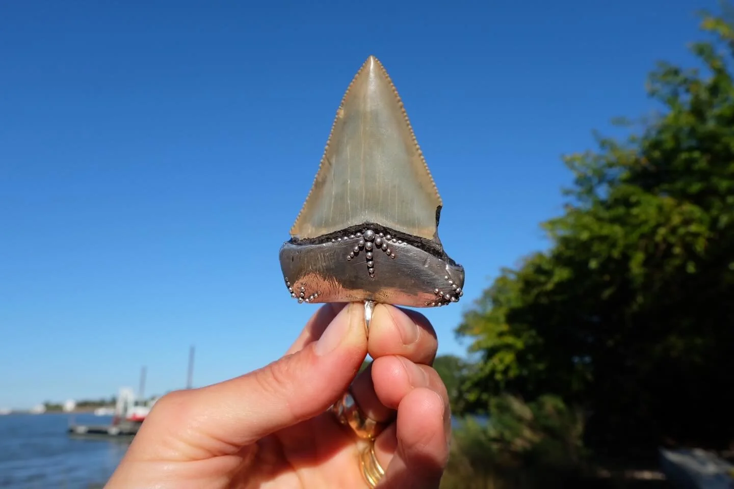 Float on! This beautiful piece made it to its new home in Rhode Island last week. Fortunately for you&hellip; there are quite a few BRAND NEW fossil shark tooth pendants on my website! I added them last week and have been extremely bad about posting&