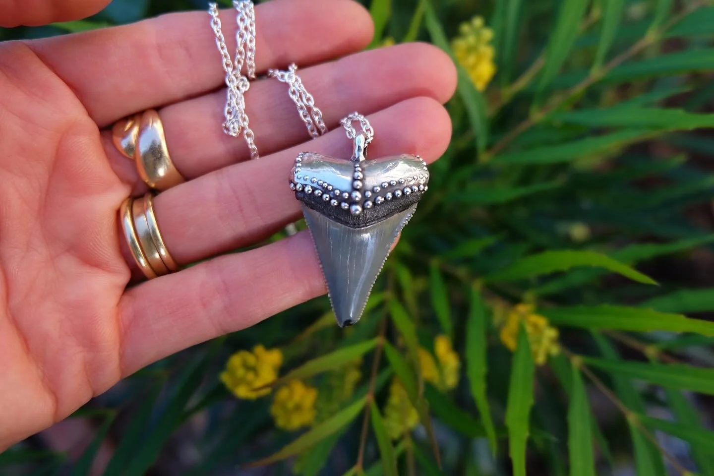 I call this piece The Path Will Lead You Home
A fossil great white shark tooth pendant 

Leave a trail of breadcrumbs to find your way home? Something like that! Grey tones and beautiful serrations line the edges of this tooth. The root is in spectac