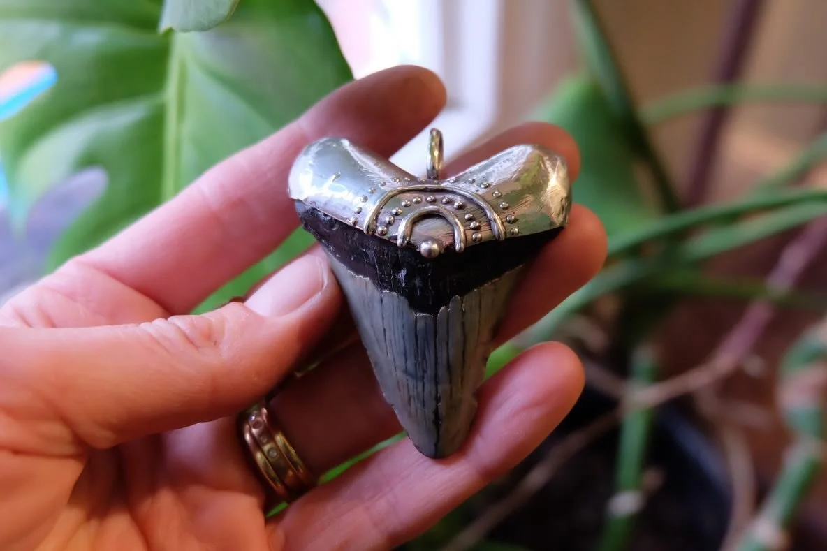 The MEGA Sunshine - Fossil Megalodon Shark Tooth Pendant has just hit the shop, along with many other one of a kind pieces! This piece&hellip; all I have to say is WOWZA! Is this tooth impressive or what kid! 

A power piece. Talk about a conversatio