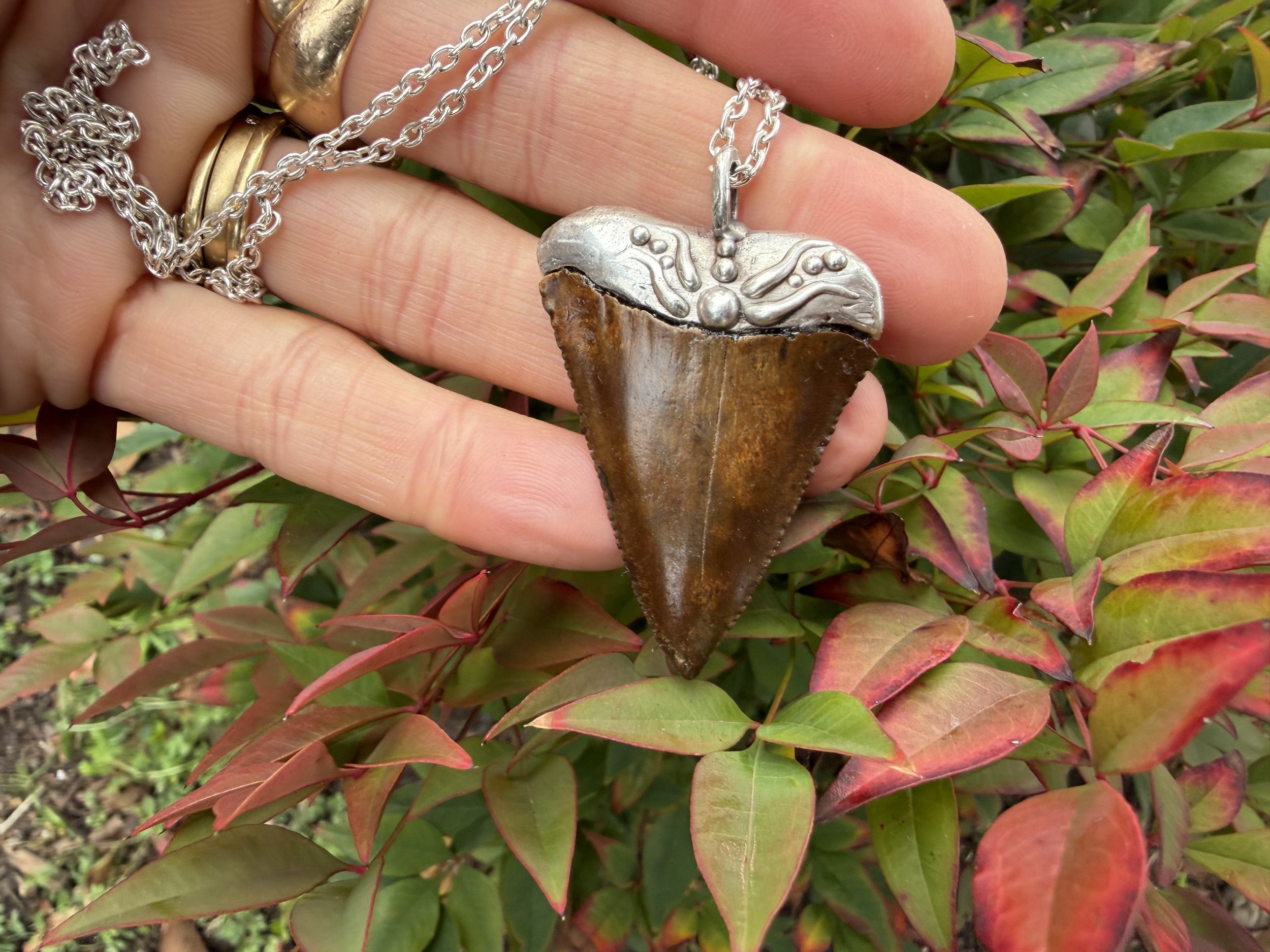 Branching Out Yet Again- Fossil Great White Shark Tooth Pendant