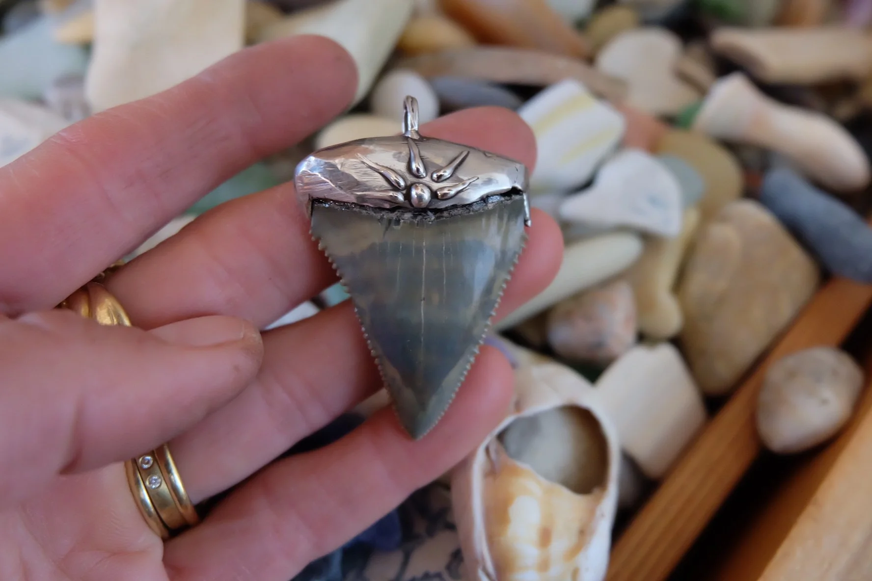 Painterly Fossil Great White Shark Tooth Pendant