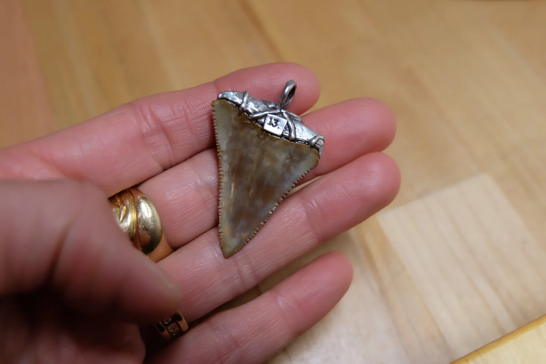 0D06158E-2B4D-457E-BCAB-8D44D5BCC838-14926-000001AC65D5D10D 2.JPG