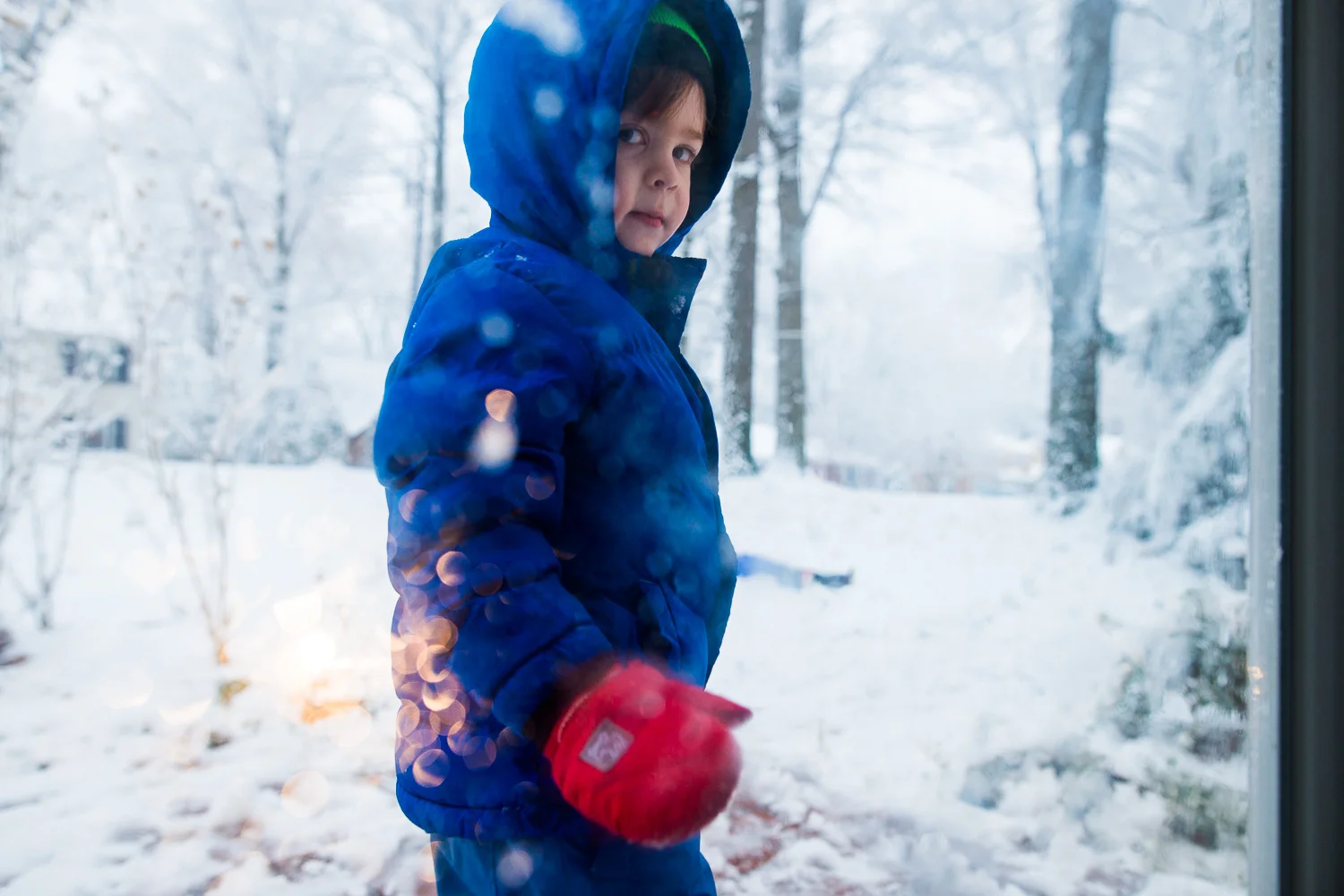pittsburgh family photographer-8.jpg